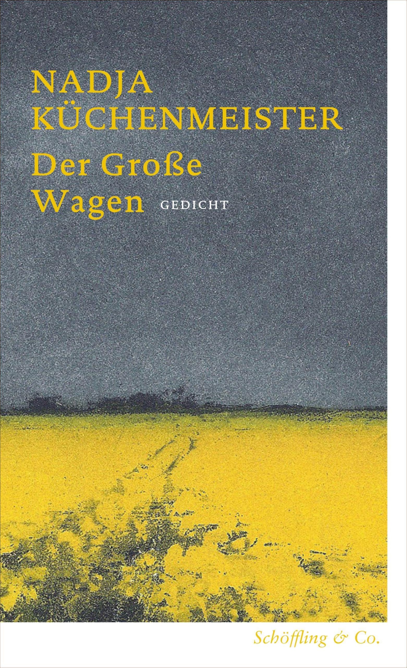 Der Große Wagen: Gedicht