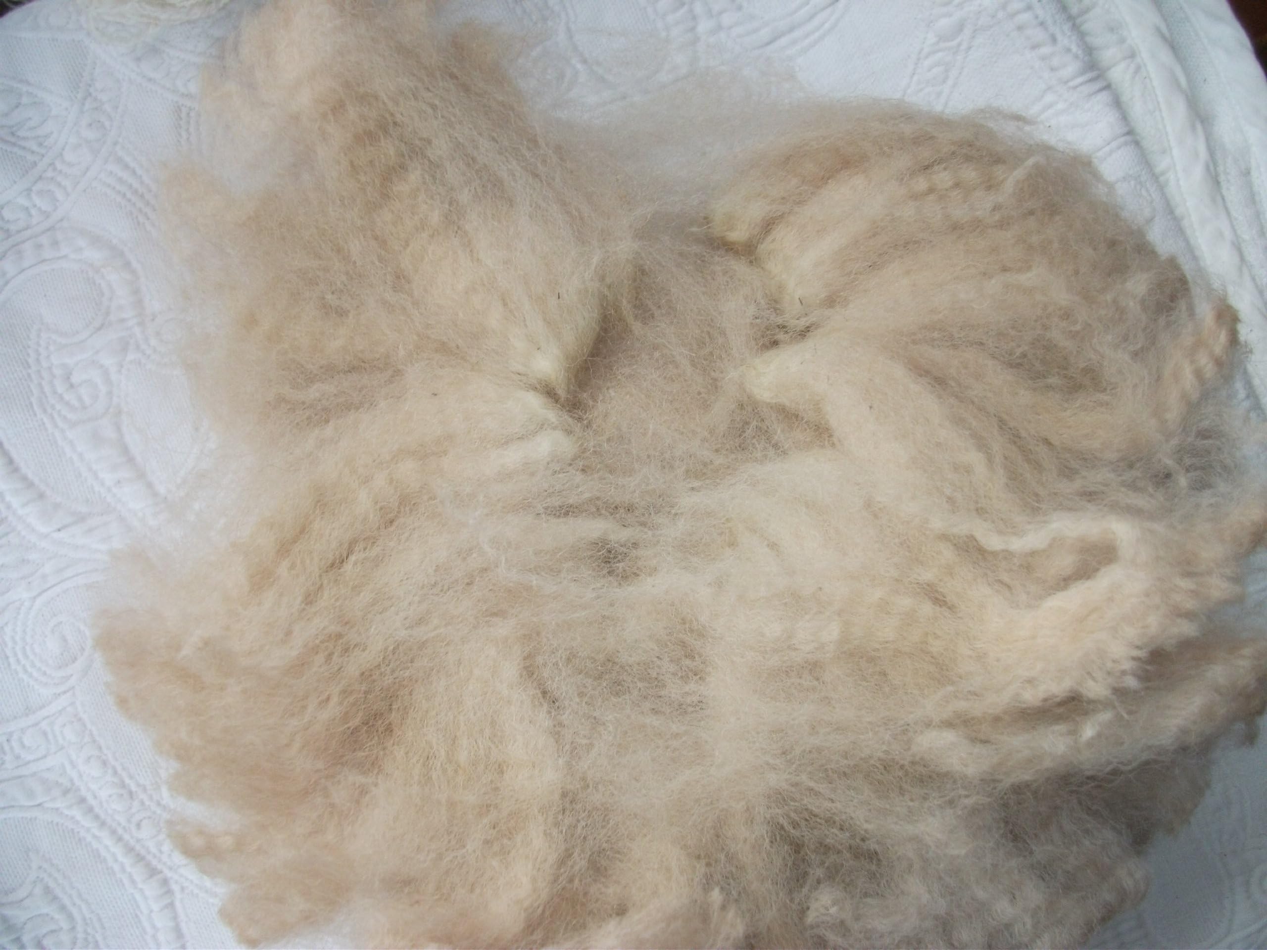 Creamy Fawn Alpaca Spinning Felting Fiber Fleece Wool