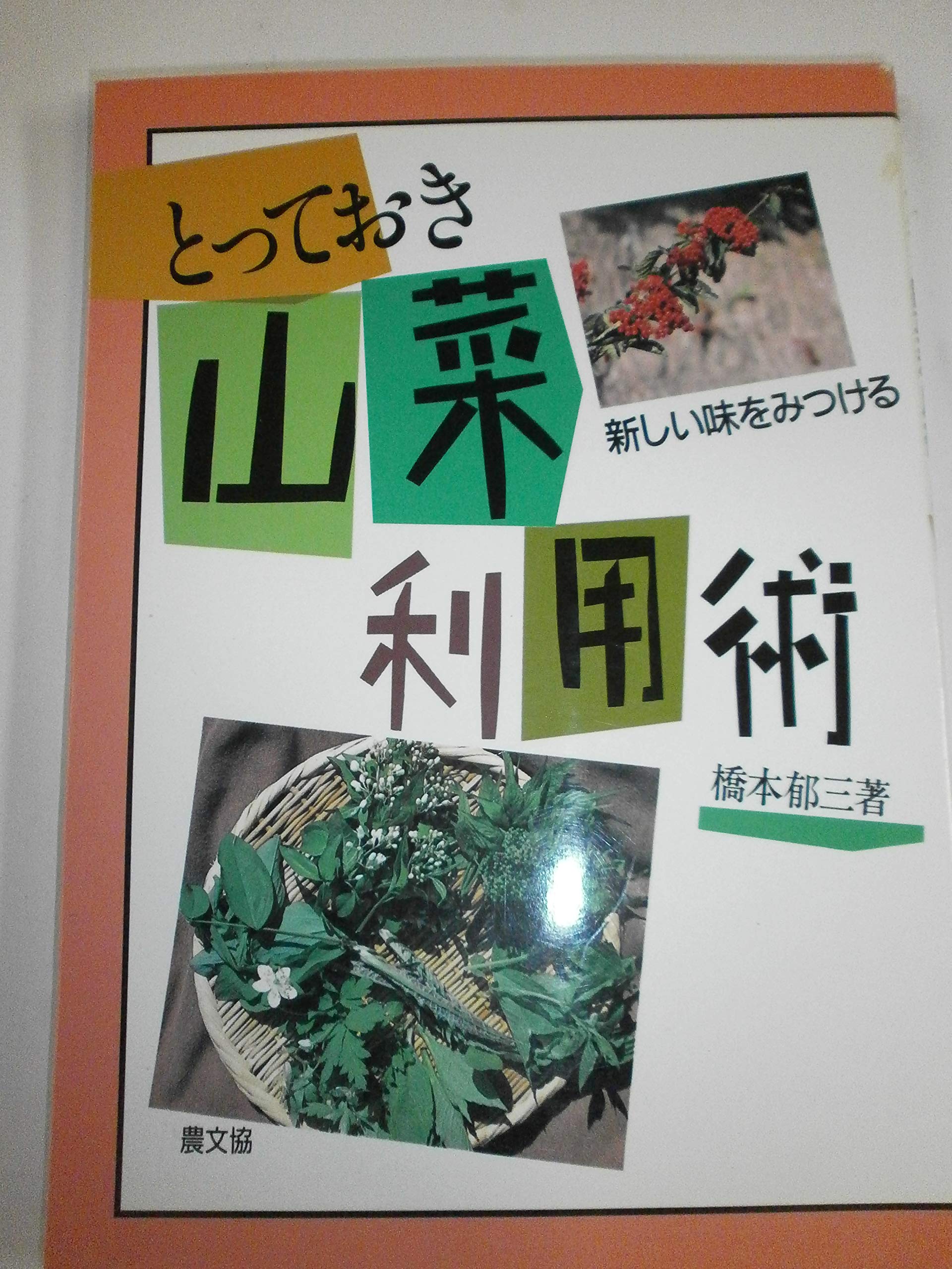 食べられる野生植物大事典 草本・木本・シダ 食べられる野生植物大事典