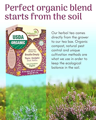 Miniatura 4 de Gordolobo, eucalipto y tomillo (40)