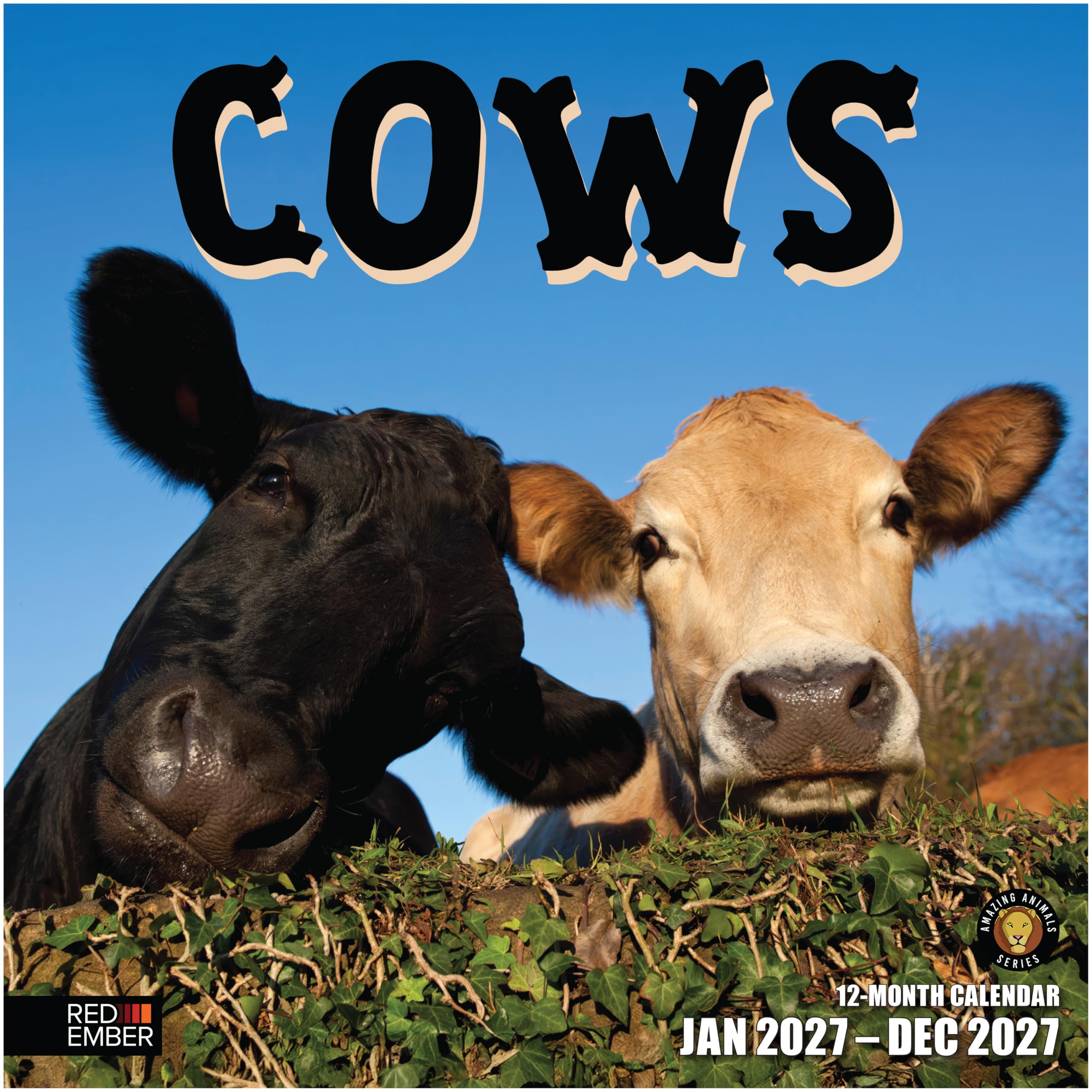 RED EMBER Cows 2027 Wall Calendar 12 Month | 12" x 24" Open