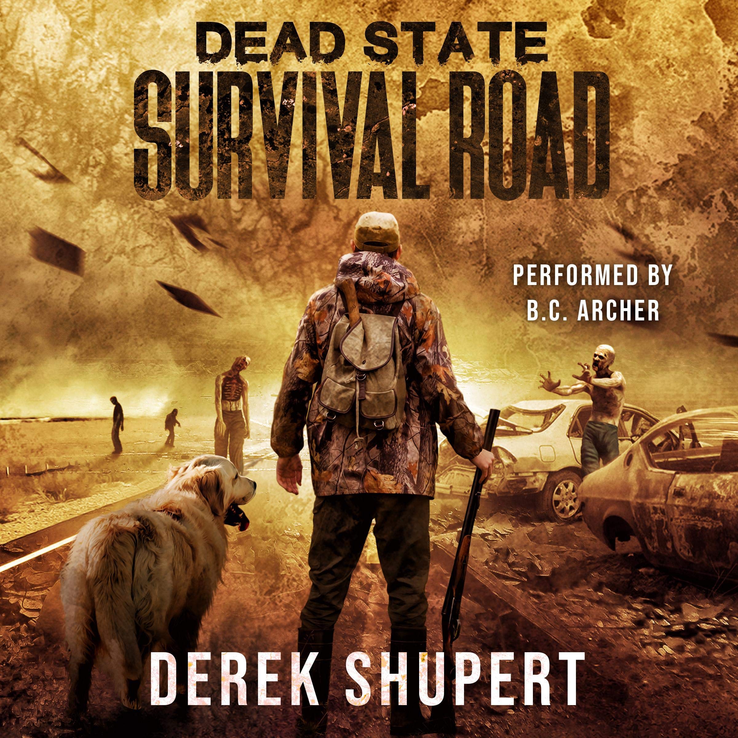 Cover art for Dead State: Survival Road