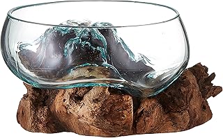 Cohasset Molten Glass | #658-20 | Wide Mouth Molten Glass | Terrarium | ...
