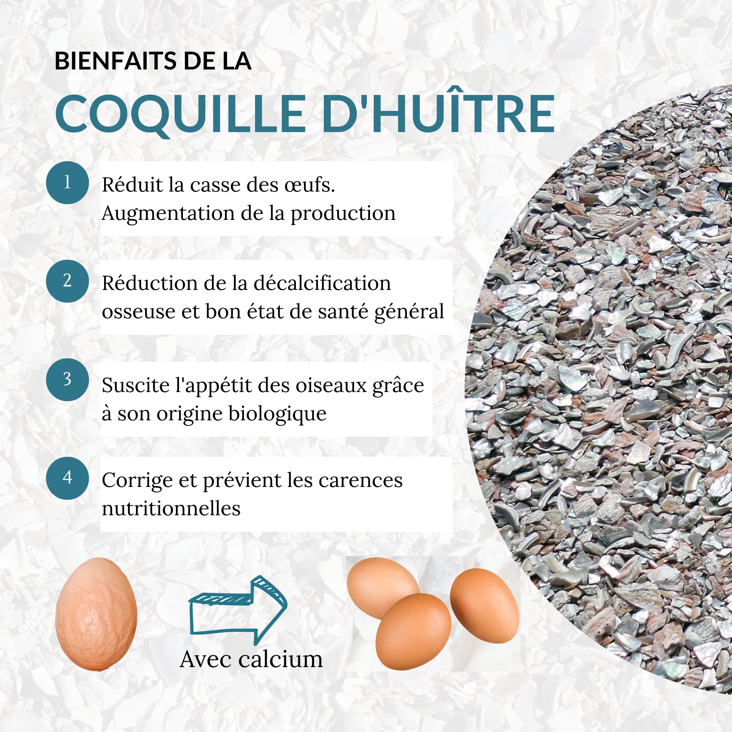 ConchaVital 6 kg - Calcium pour Poules pondeuses et Autres Oiseaux - Coquille d'huître - Nourriture + 12 minéraux - Améliore la Qualité de l'œuf, Corrige Les Carences Nutritionnelles