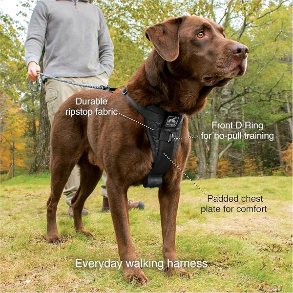 Kurgo Tru-Fit Smart Dog Walking Harness - Comfortable Fit - Adjustable Harness - Reflective Pet Wear - Quick Strap Release - Daily Walk Accessory - Includes Seat Belt Loop - Black - Small - 3