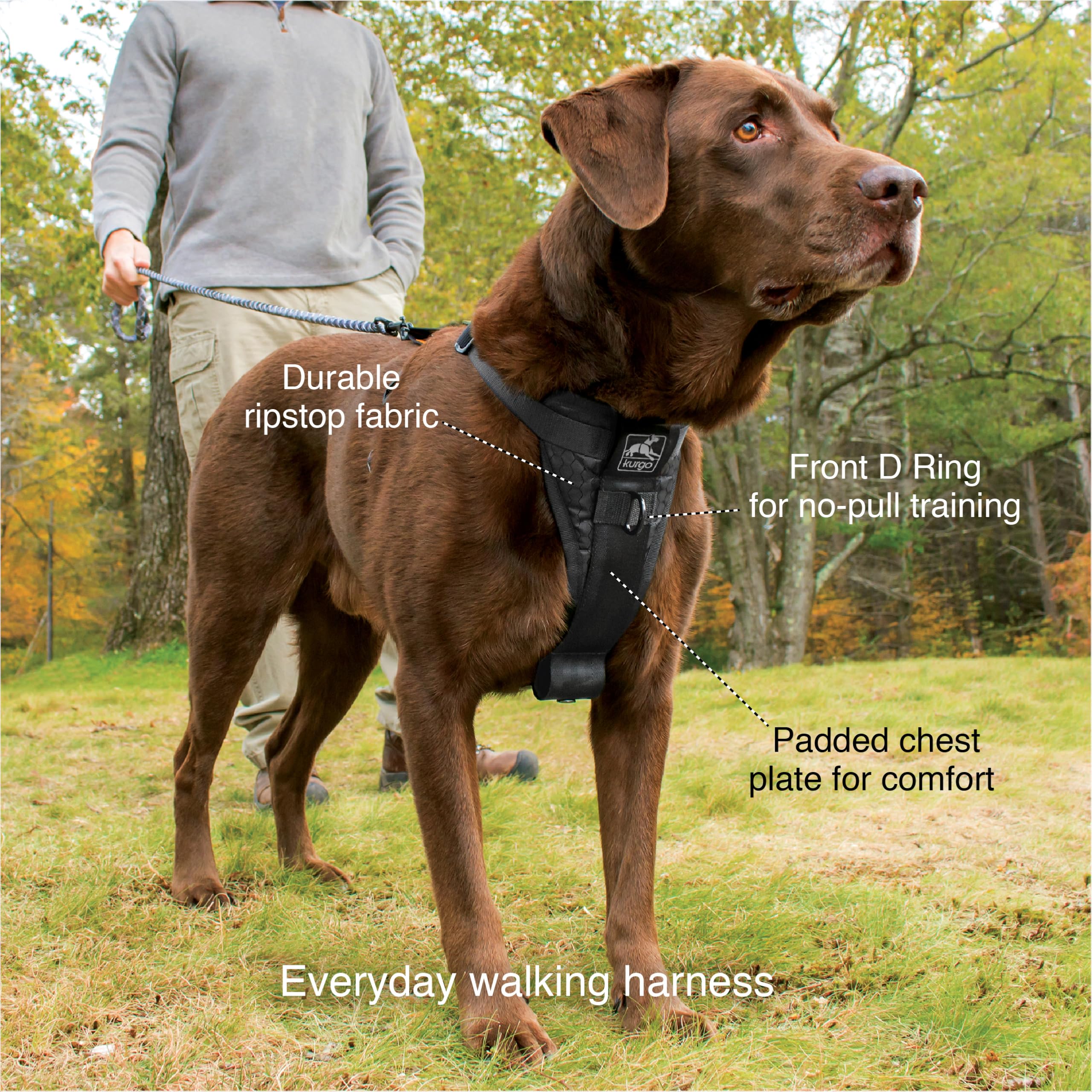 Kurgo Kurgo Tru-Fit Smart Dog Walking Harness - Comfortable Fit - Adjustable Harness - Reflective Pet Wear - Quick Strap Release - Daily Walk Accessory - Includes Seat Belt Loop - Black - Small in use