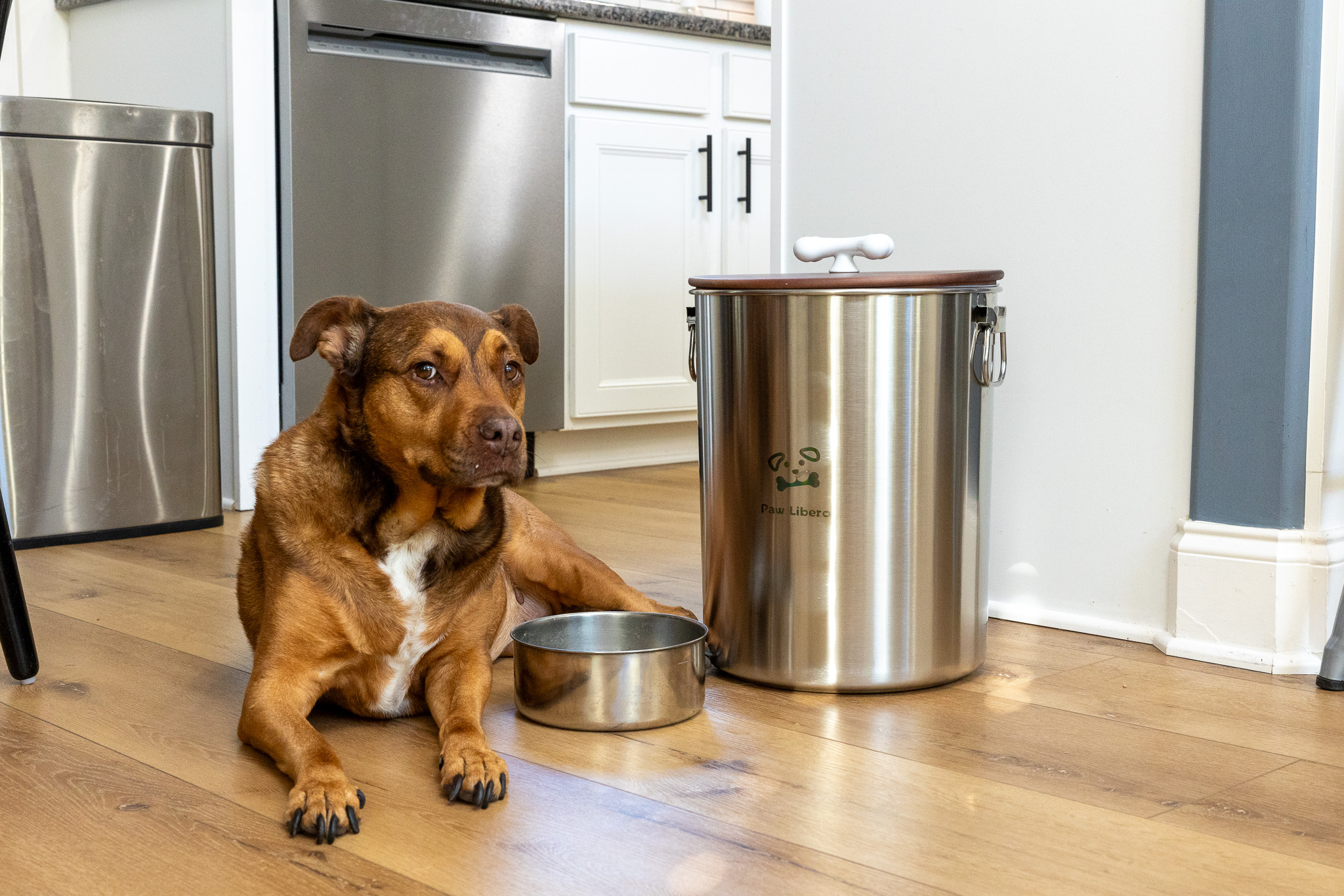 Récipient de stockage de nourriture pour animaux de compagnie - Support