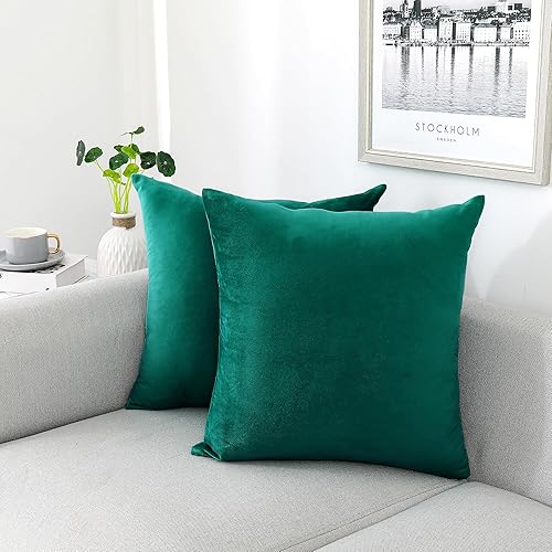 Vista 47 de NiNi ALL Fundas de almohada decorativas de terciopelo suaves para sofá, dormitorio, sala de estar, exteriores, paquete de 2 unidades, 18 x 18 Aqua