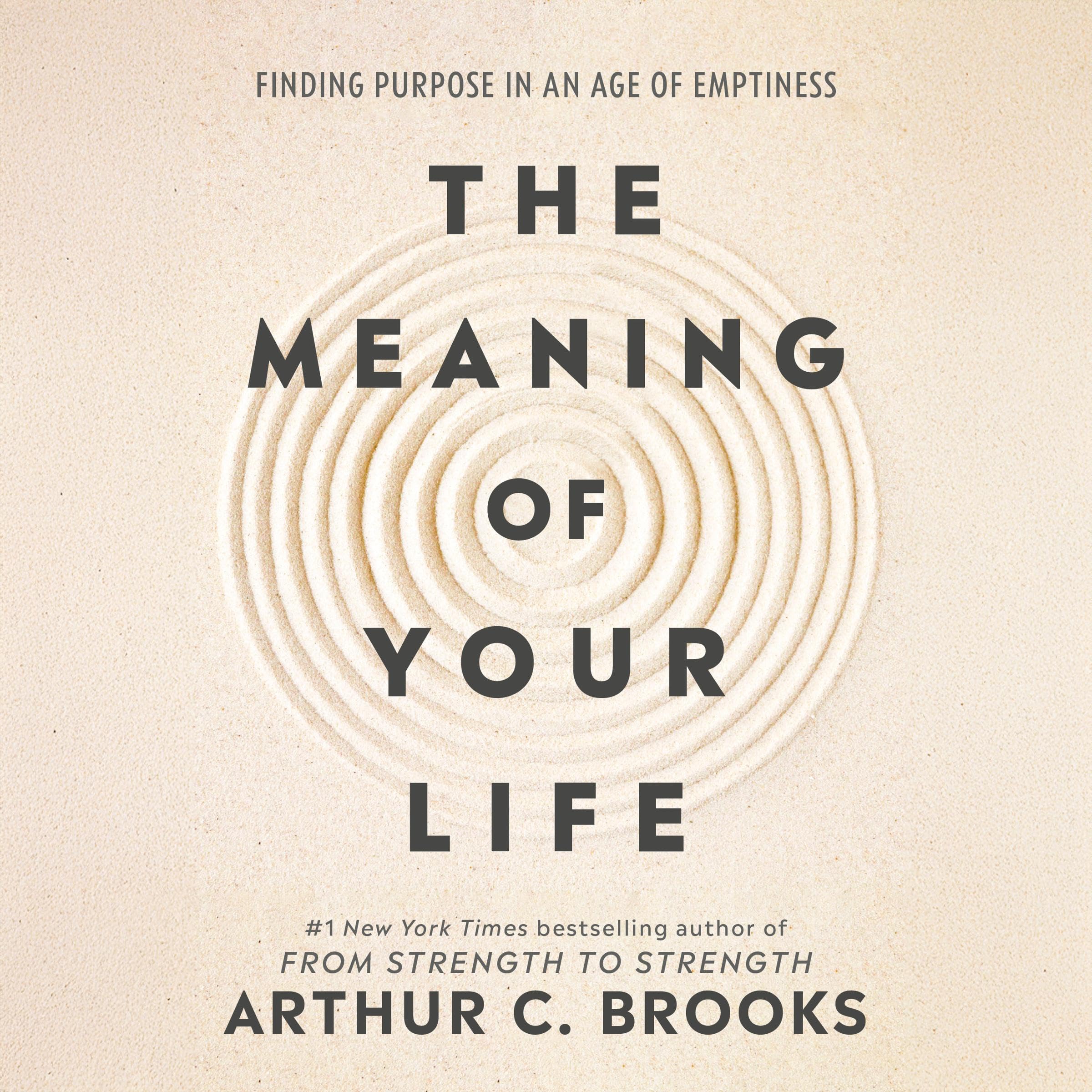 Cover art for The Meaning of Your Life
