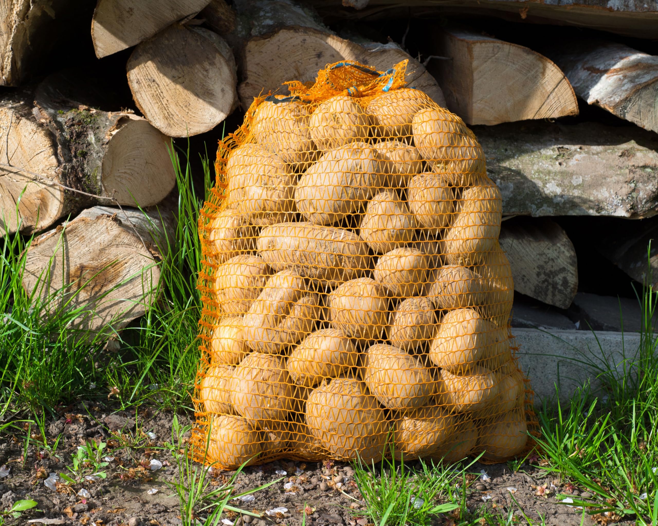 EraGreen 100 Stück Raschelsäcke 60cm x 100cm mit Zugband und 50kg Füllgewicht - Kartoffelsack Gemüsebeutel Zwiebelsack - Netzsack für Kaminholz