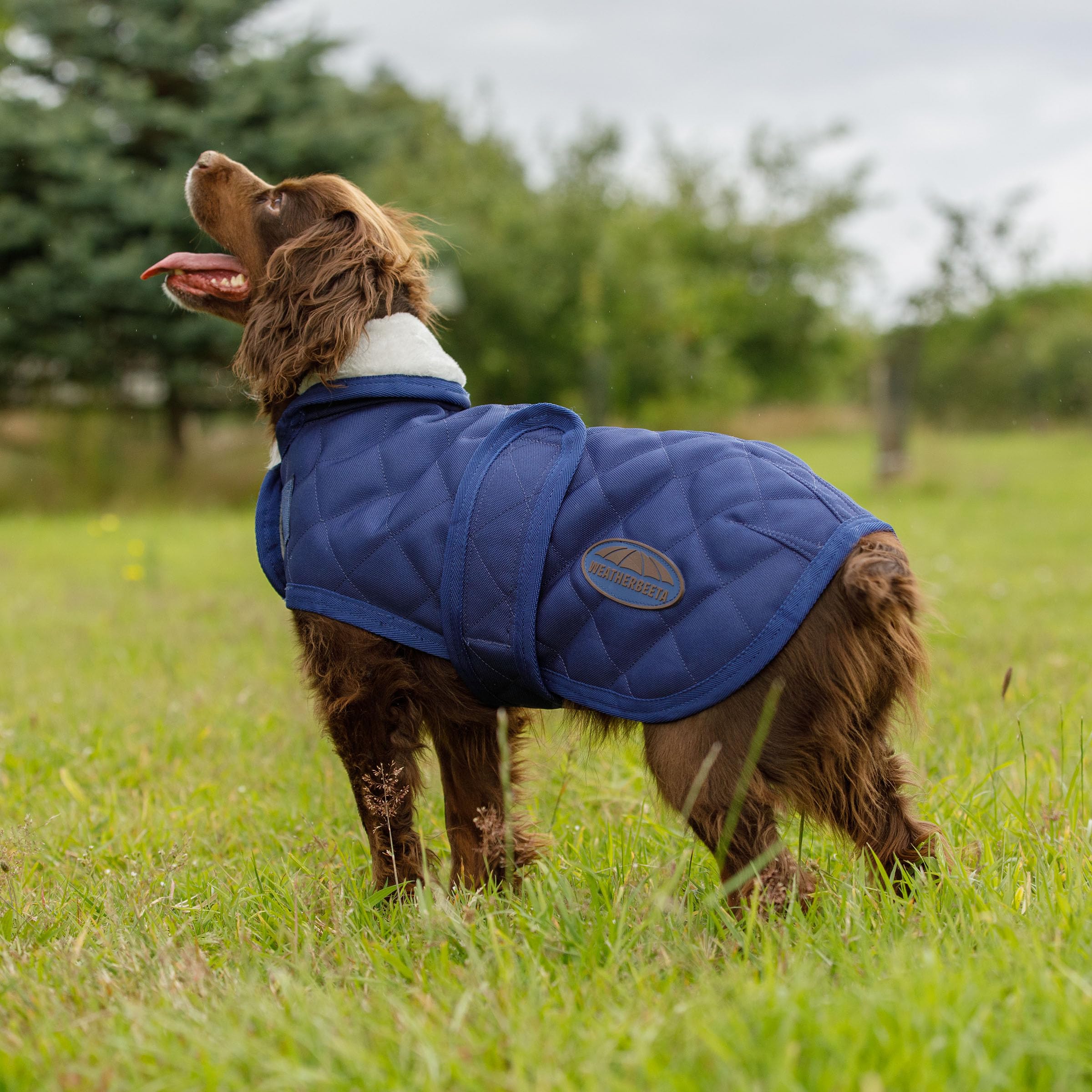 WeatherBeeta ComFiTec Deluxe Diamond Quilt Cappottino per cani, blu navy, 75 cm