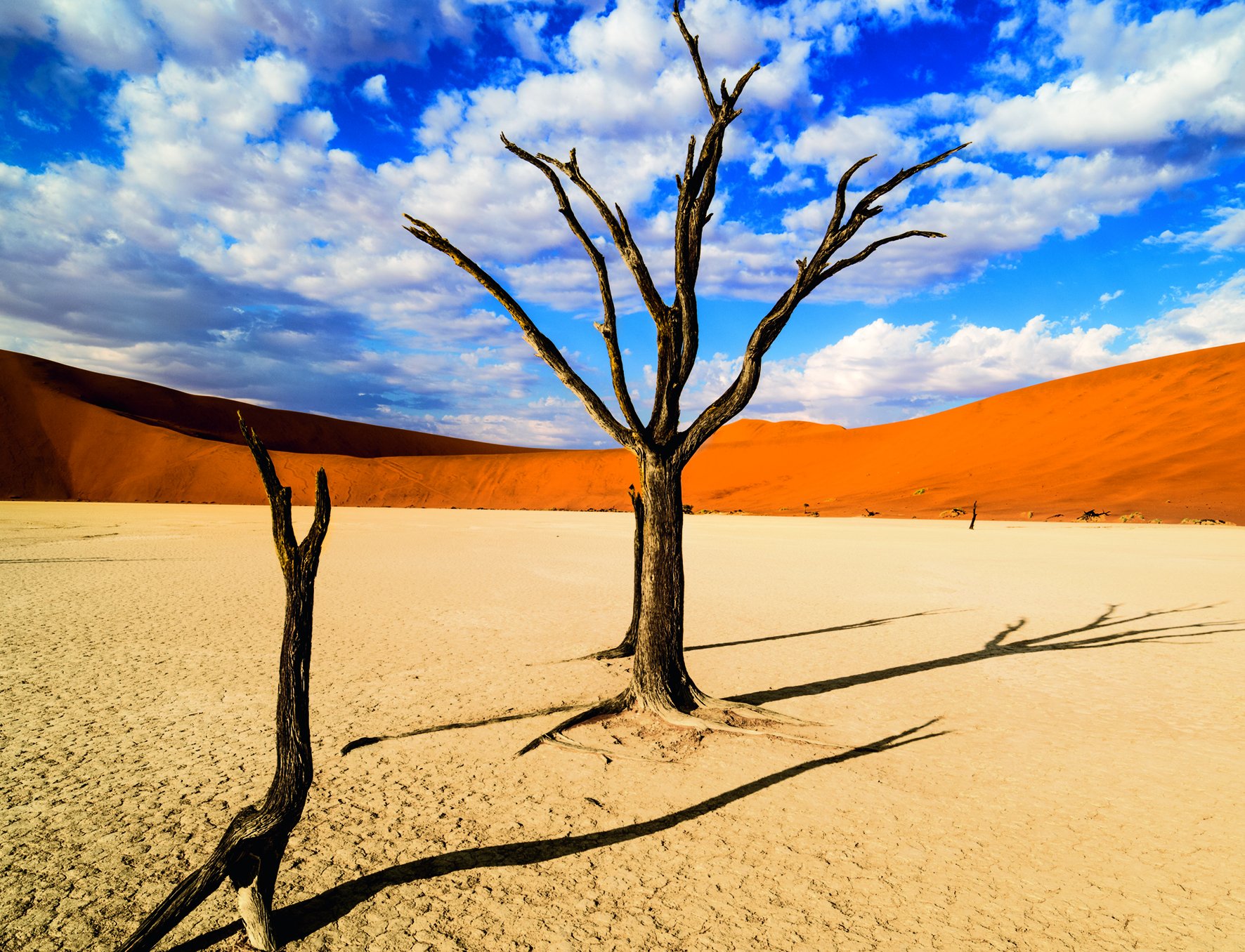 The Namib Desert: Art, Structures, Colors