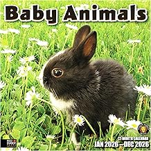 RED EMBER Select - Baby Animals 2026 Wall Calendar 12 Month | 12” x 24” Open | Thick & Sturdy Paper | Giftable | Wild Cute Kids Baby Animals Calendar 2026