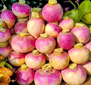 200 Non-GMO Heirloom Purple Top White Globe Turnip Seeds - Easy Home Garden Planting Kit with Instructions by Axel's Garden