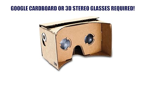 Real Roller Coasters in 3D Stereo