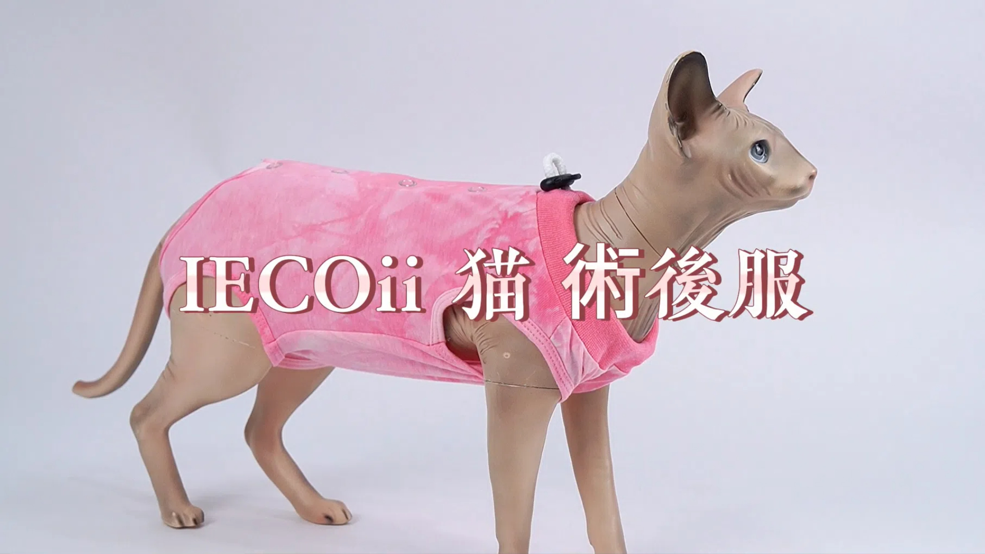 Amazon | IECOii 猫 術後服 猫用リカバリースーツ 手術用 エリザベス