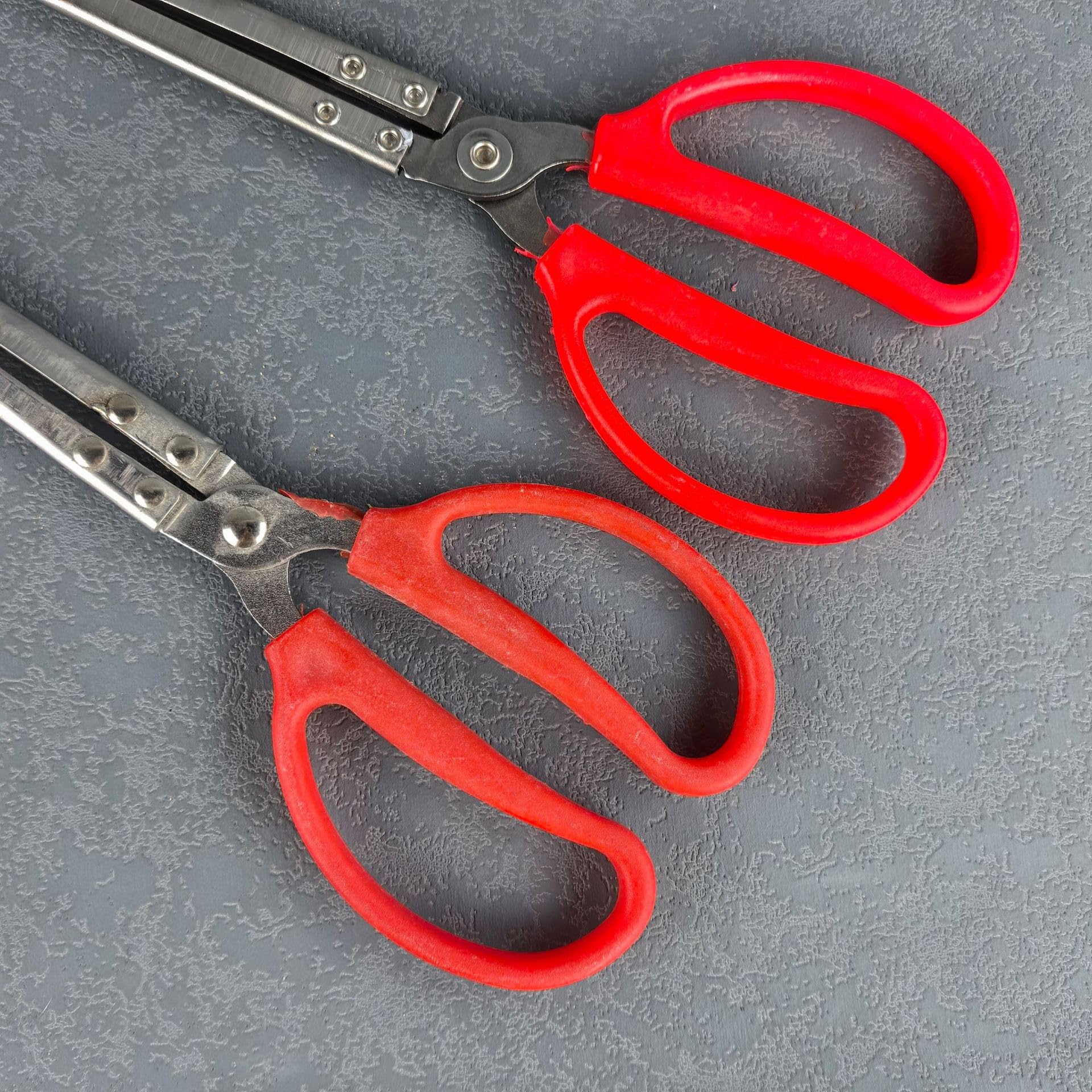 Pinze per Granchi e Anguilla a Lunga Portata, Acciaio Inossidabile 38/52cm