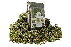 Lifelike Moss Sheets for Creative Crafts