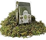Fake Green Moss for Potted Plants, 4OZ Artificial Moss for DIY Crafts, Faux Moss for Table Centerpieces Fairy Garden Decor (Fresh Green 140gr)