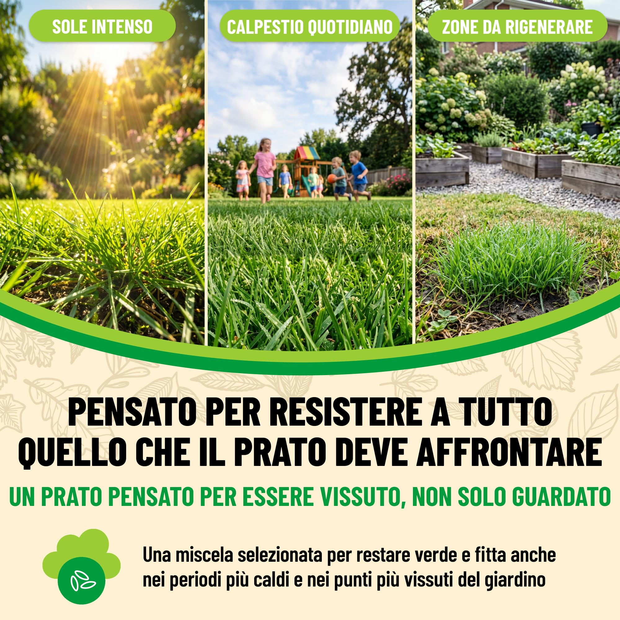 BIOEXXE Semillas Cesped Resistente Raigrás Inglés 160 m² - Festuca Arundinacea Grama Gruesa Crecimiento Rápido - Semillas de Césped Repoblador Rápido