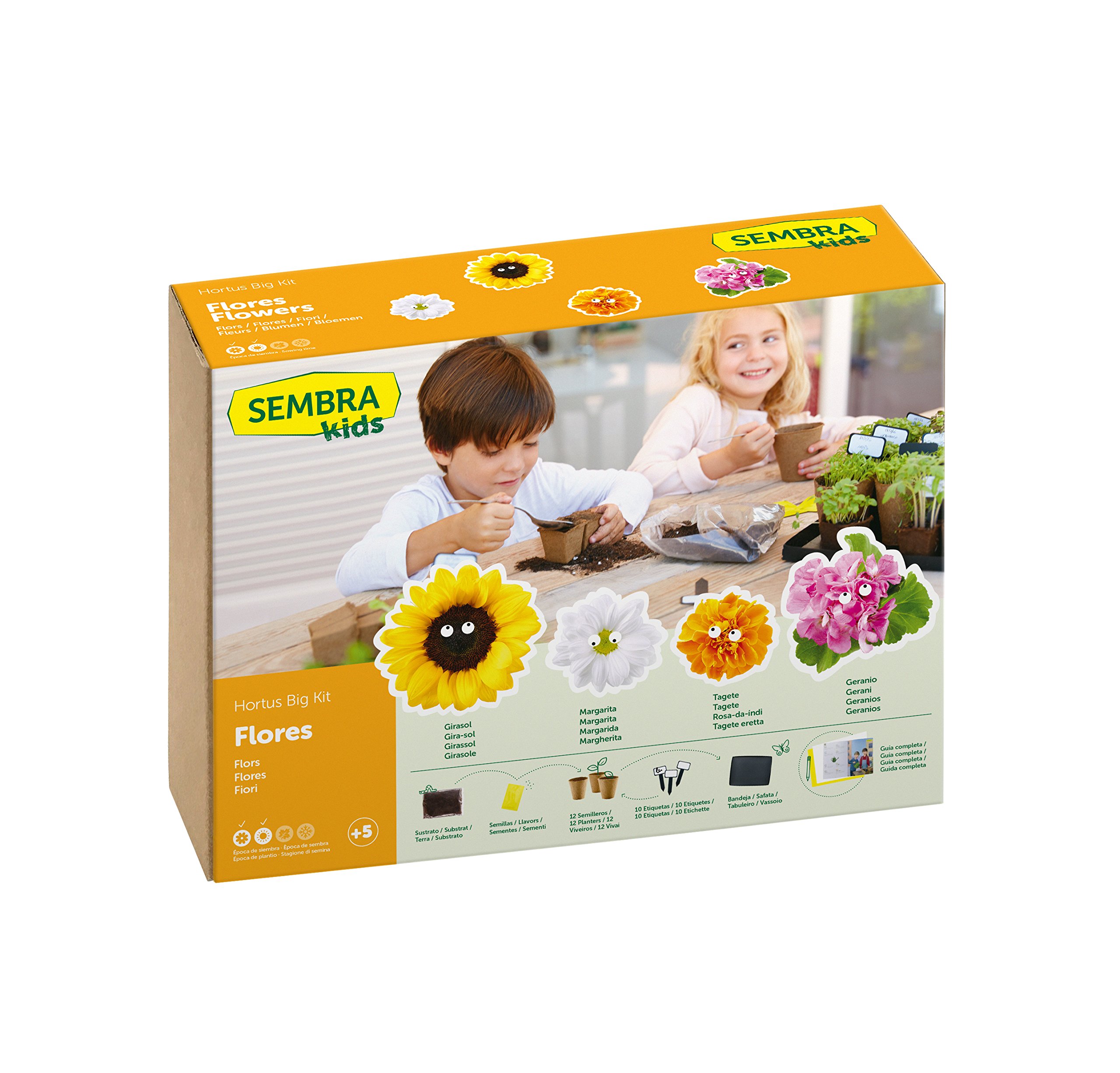 SEMBRA - juego educativo, Kit huerto Flores: Amazon.es: Jardín