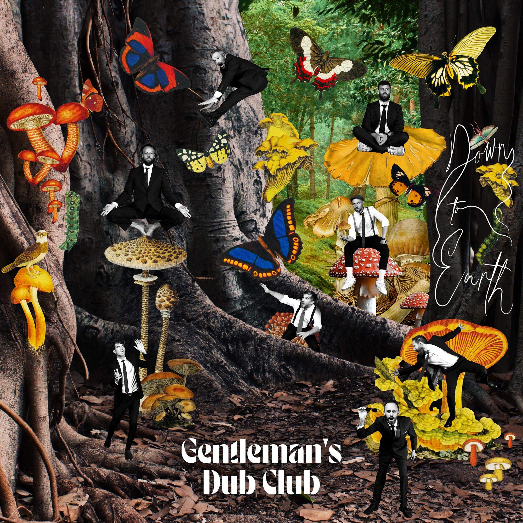 Down To Earth (LP) [VINYL]