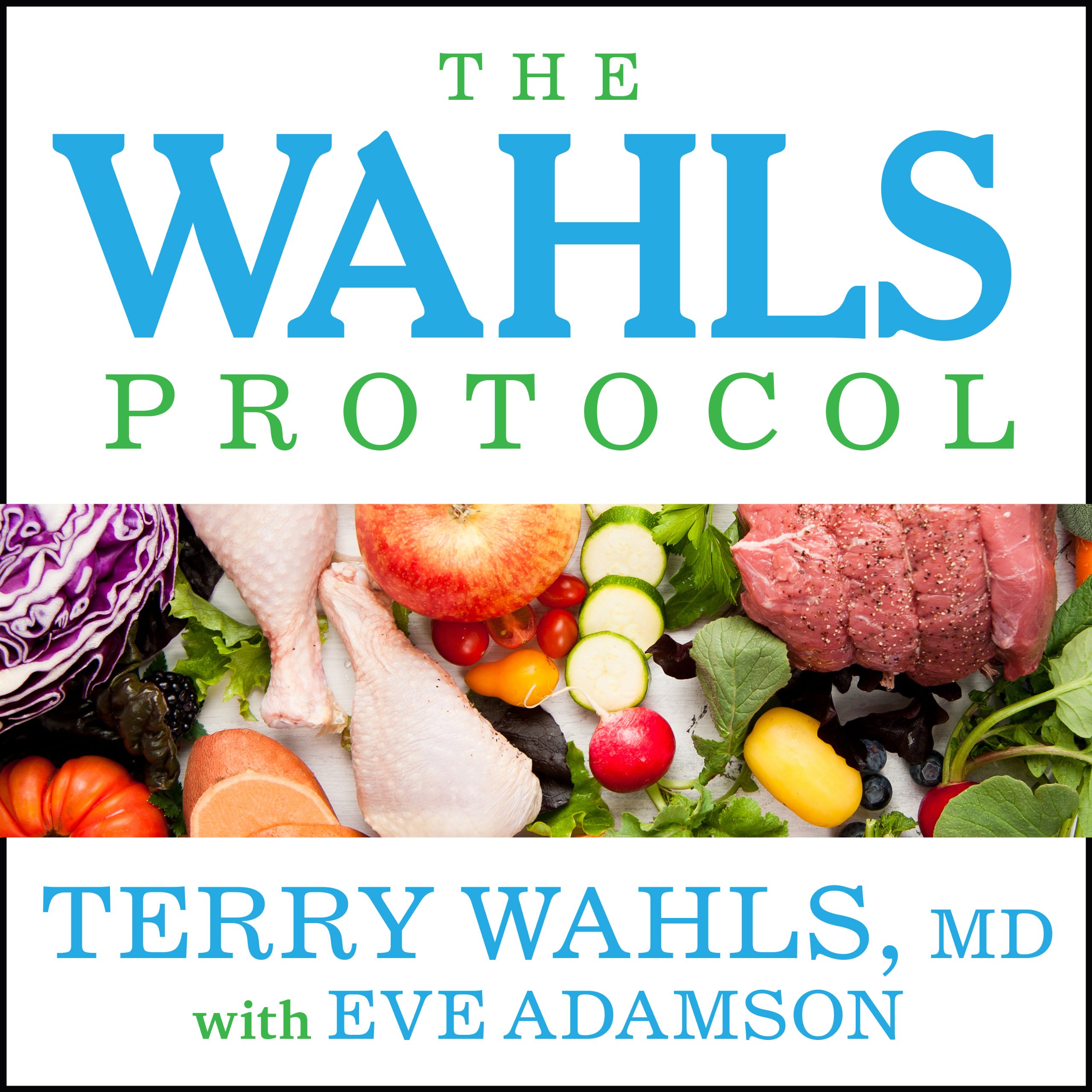 Cover art for The Wahls Protocol