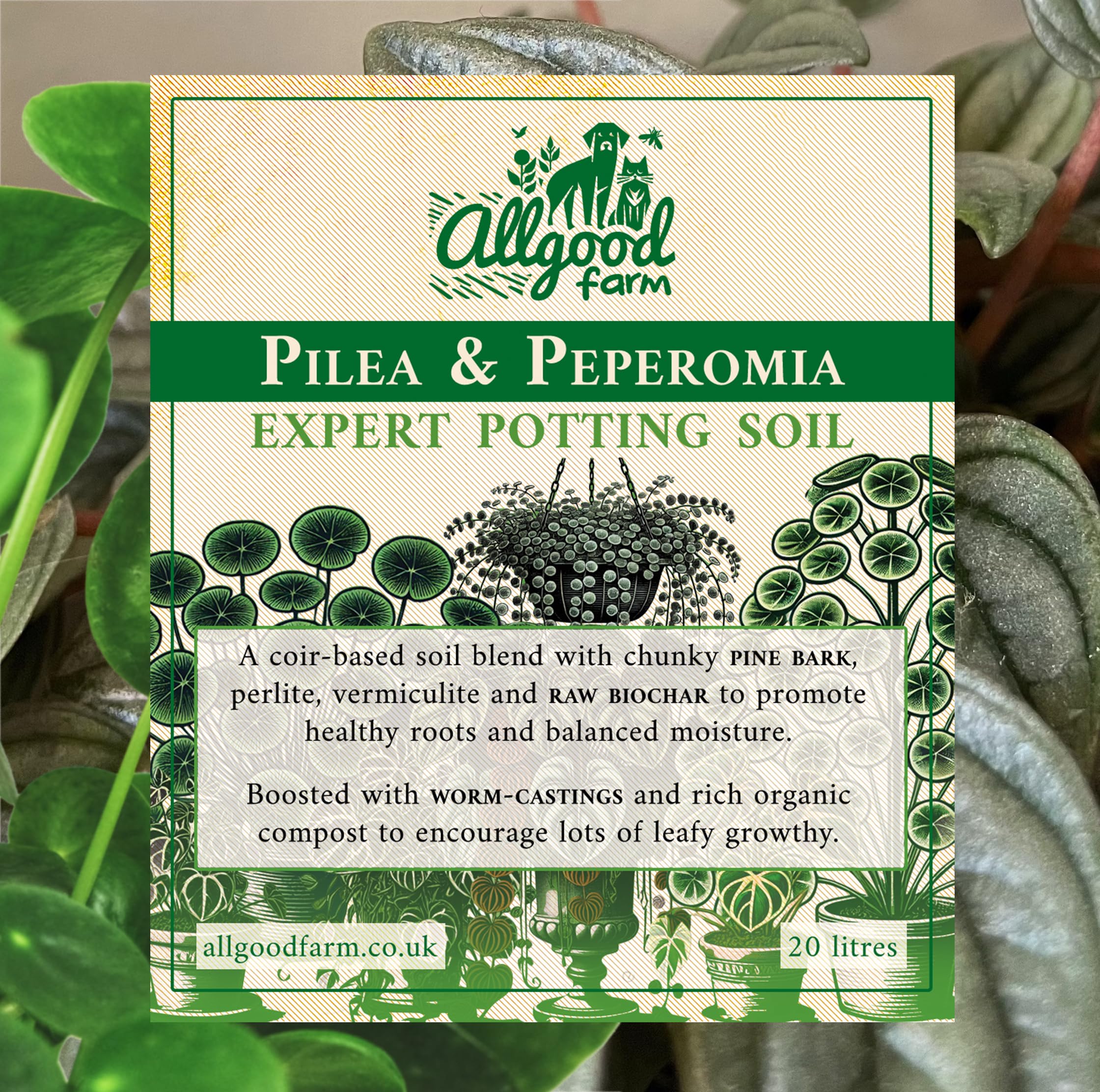 Allgood Farm Pilea & Peperomia Soil - Expert Potting Soil Mix for Chinese Money Plant Baby Rubberplant, String of Turtles (3 Litres)