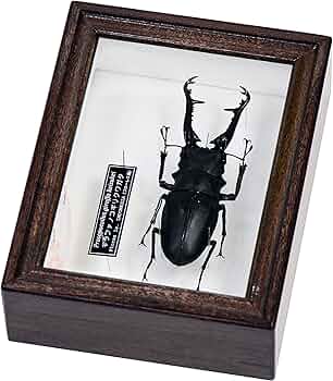 91kV2k7sPQL._AC_UF350,