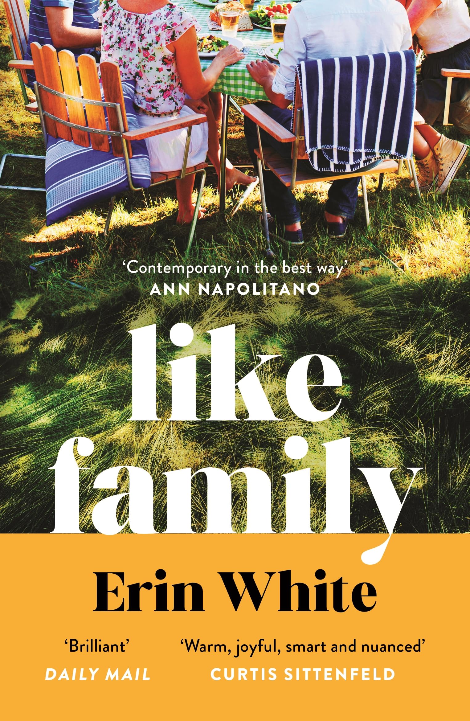 Profile Books Ltd Like Family Paperback Book