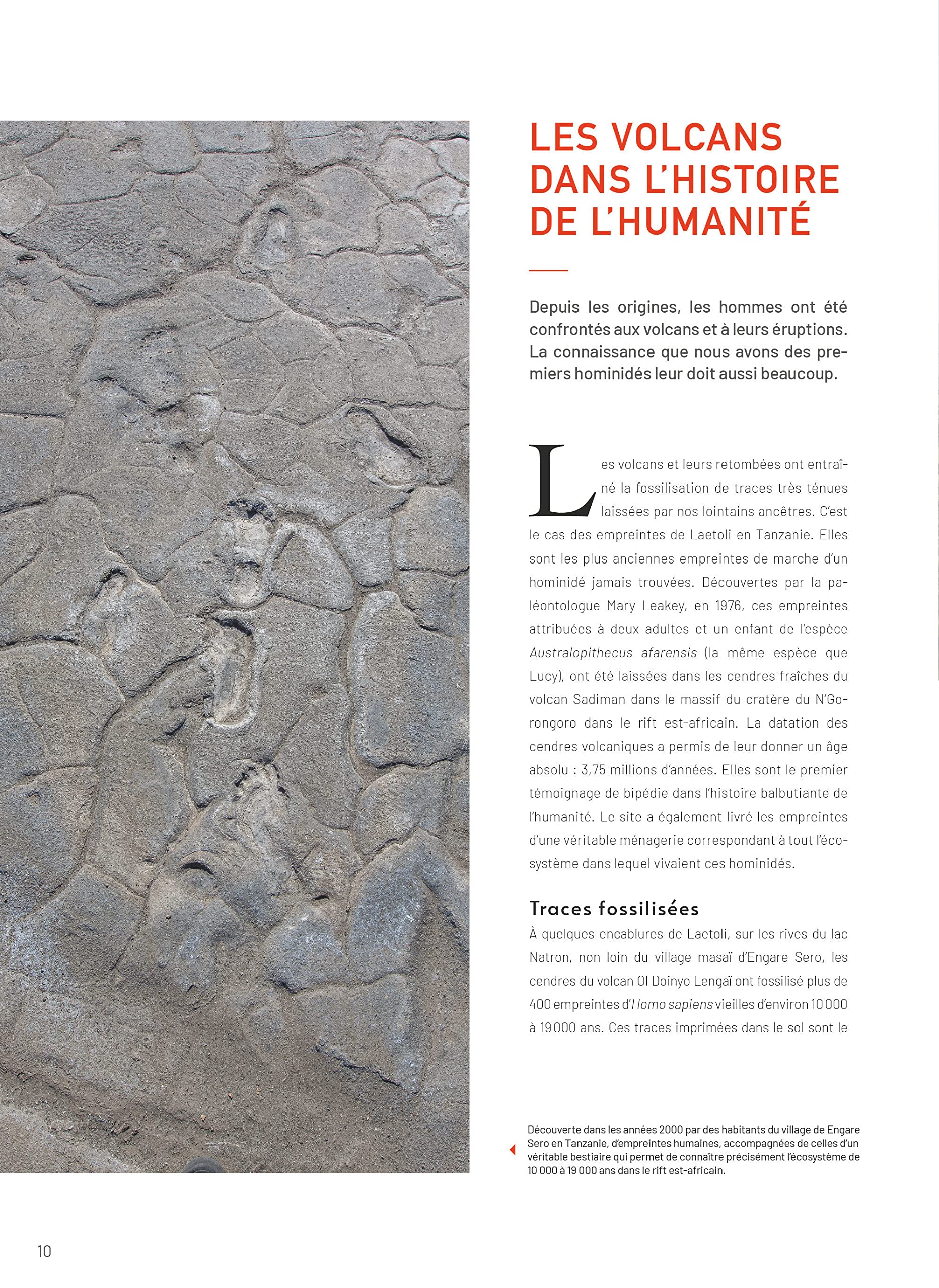 Le grand atlas des volcans: Les feux de la Terre