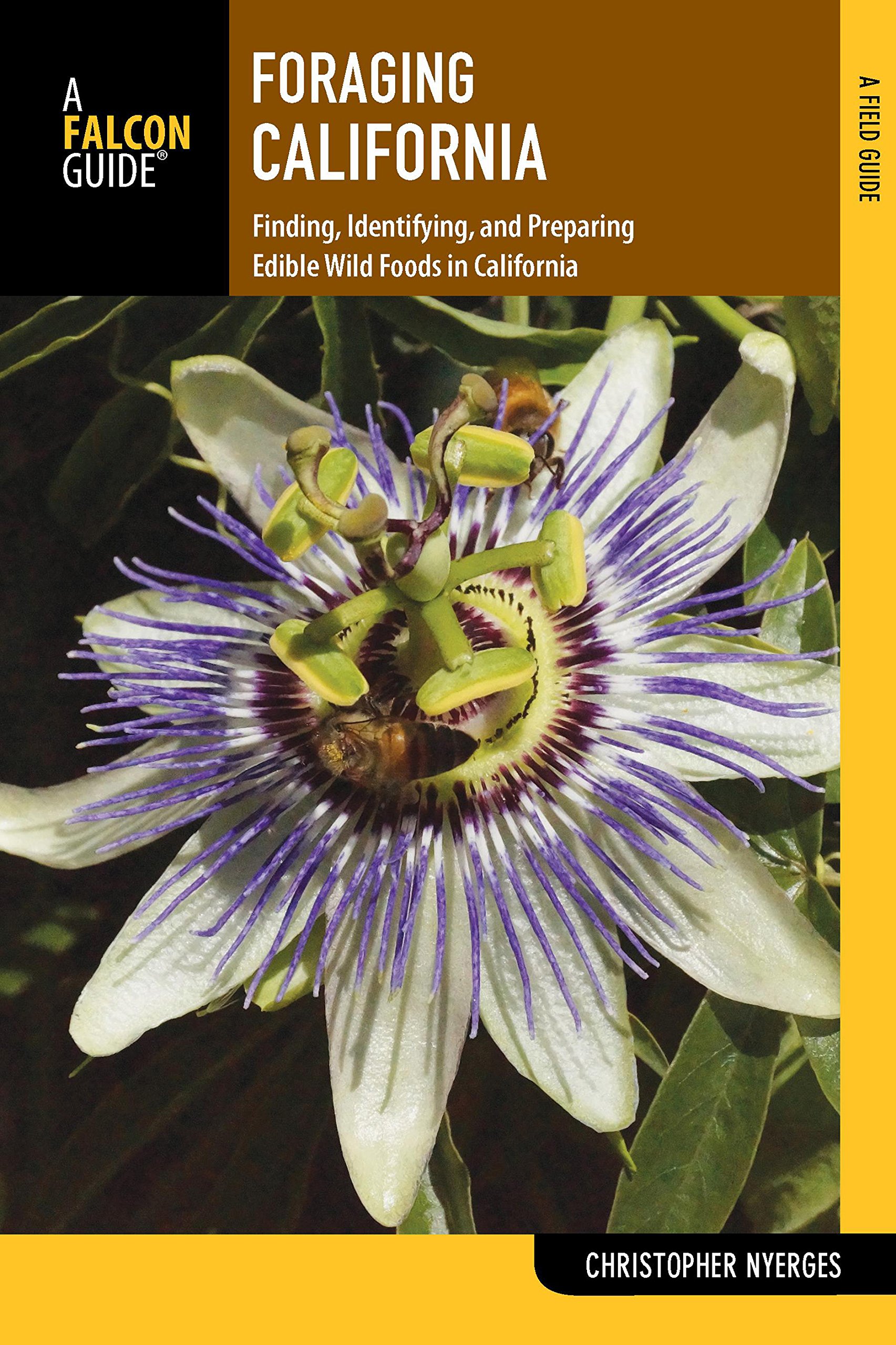 Buy Foraging California: Finding, Identifying, and Preparing Edible Wild Foods in California — BookShops.in