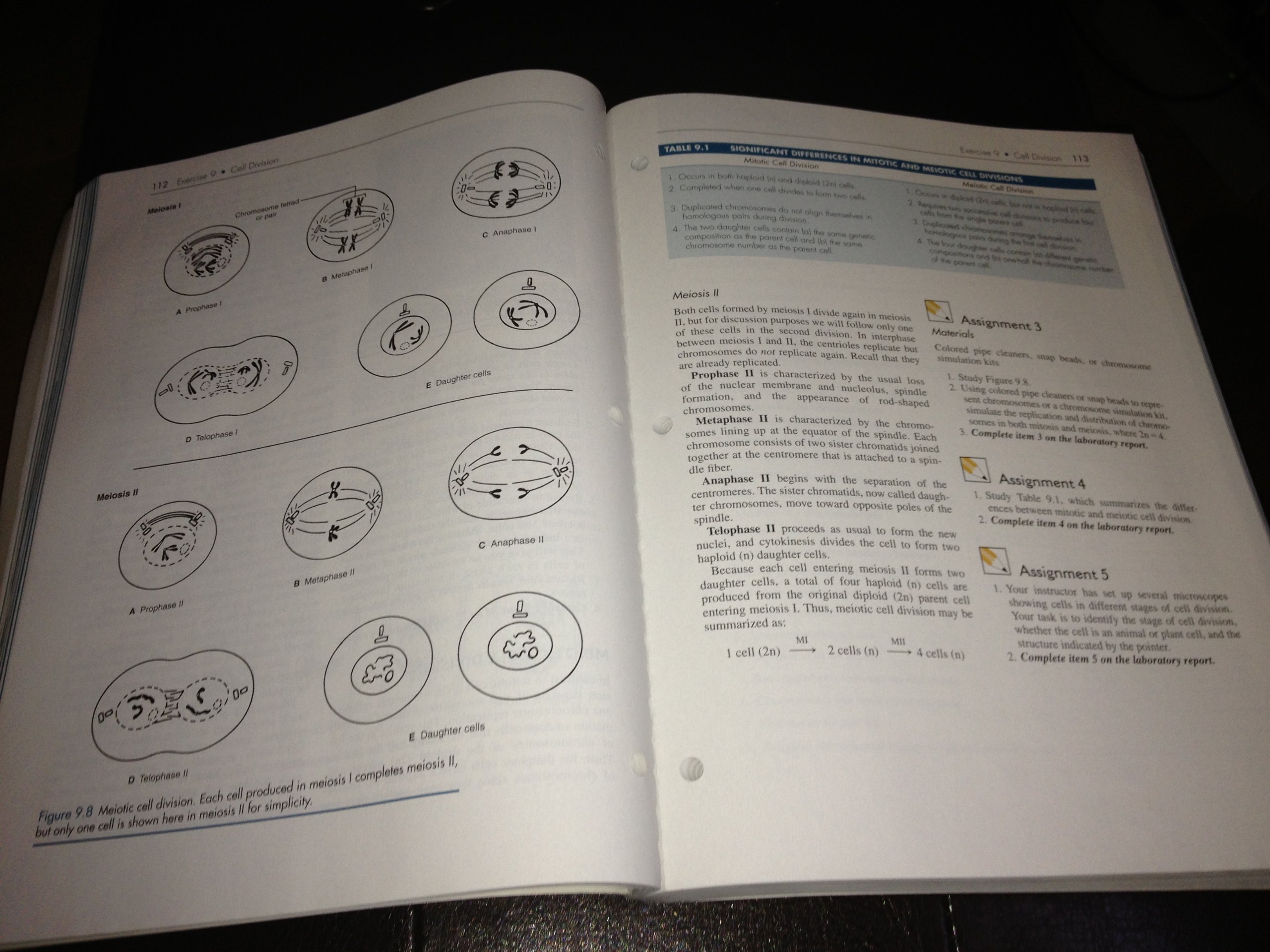 Explorations in Basic Biology - Image 3