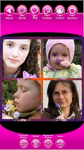 Crocus Photo Collage