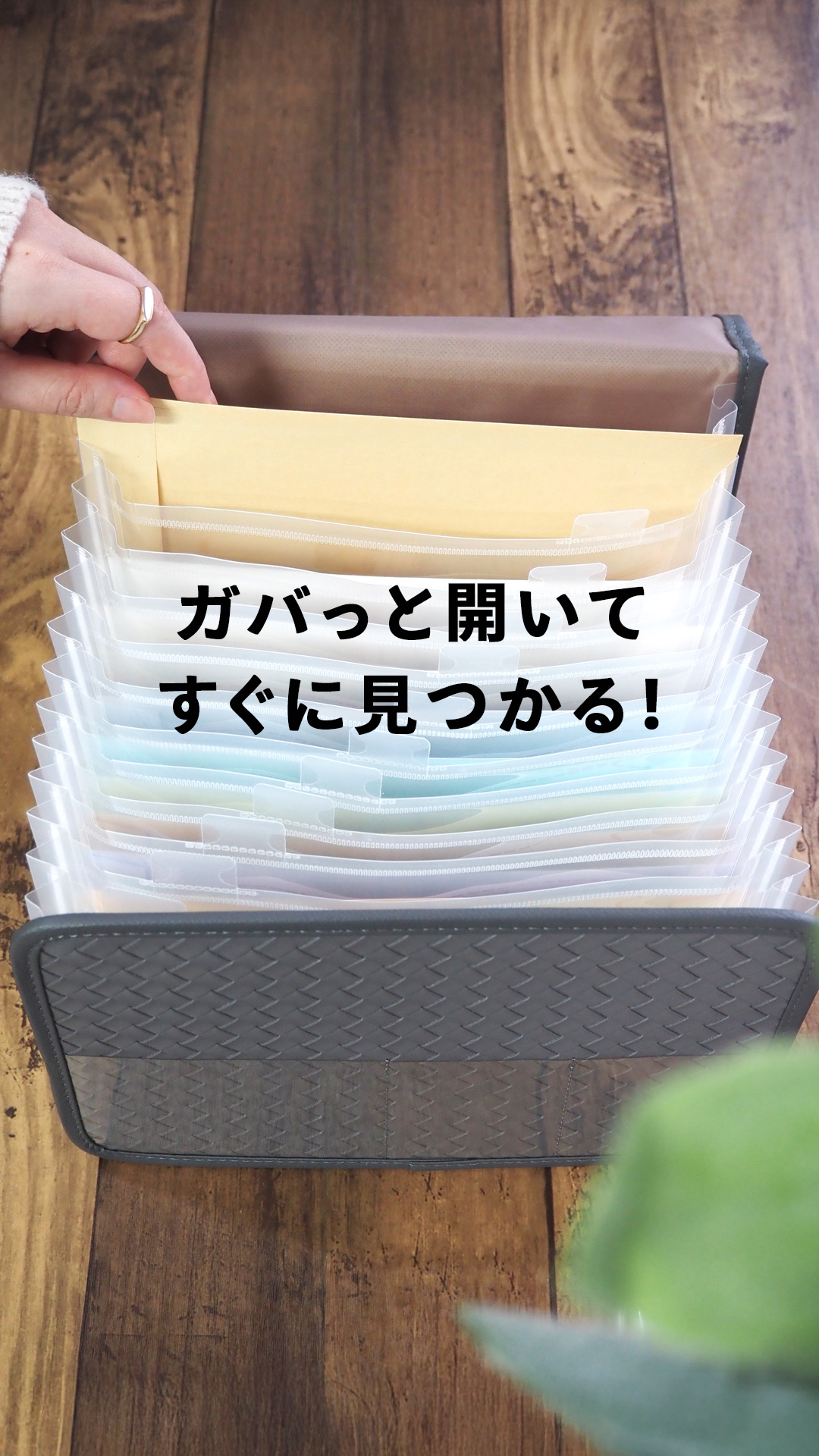 Amazon | [style plein de couleur] 領収書ファイル 【 領収書入れ