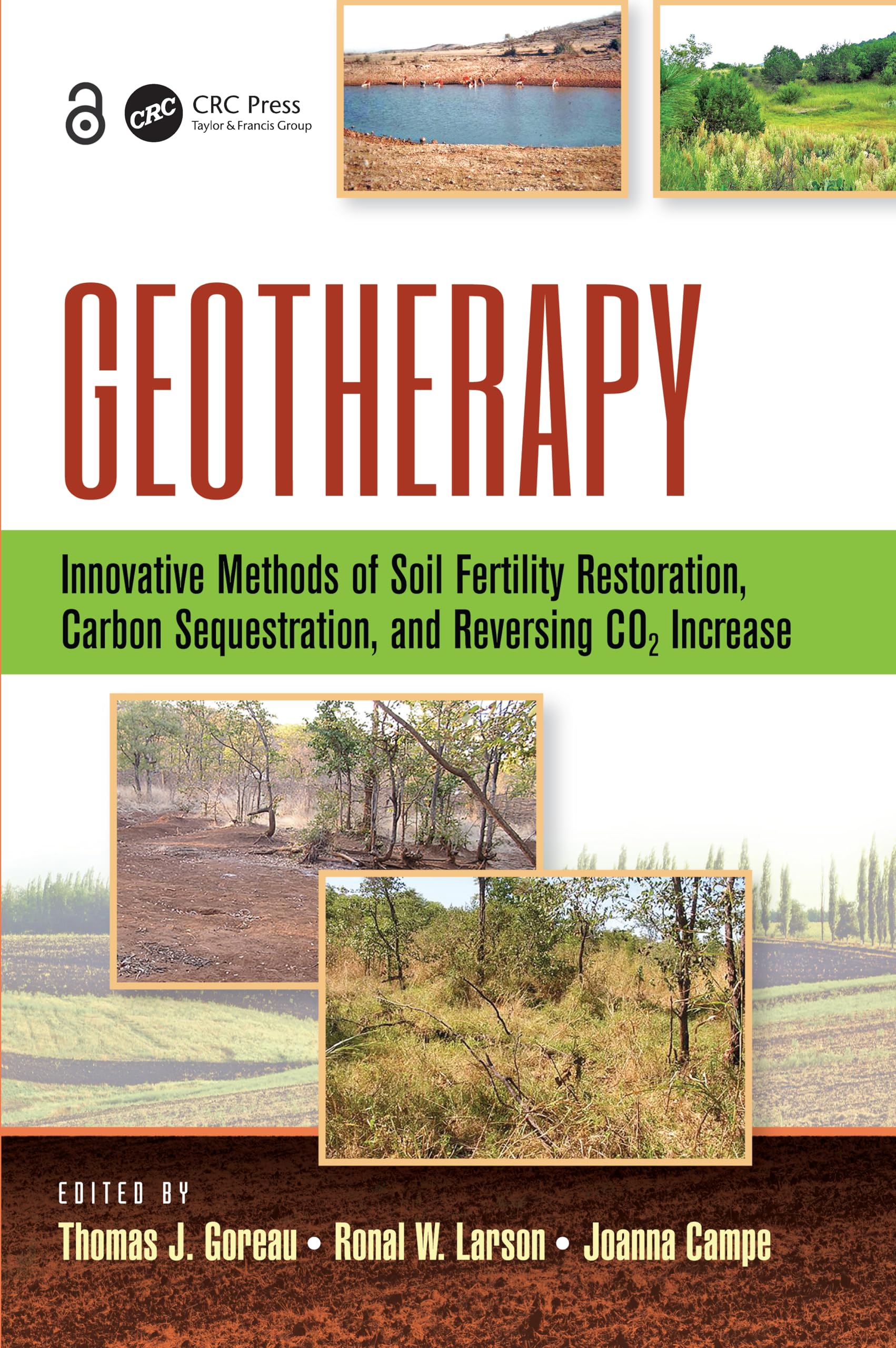 Geotherapy: Innovative Methods of Soil Fertility Restoration, Carbon Sequestration, and Reversing CO2 Increase