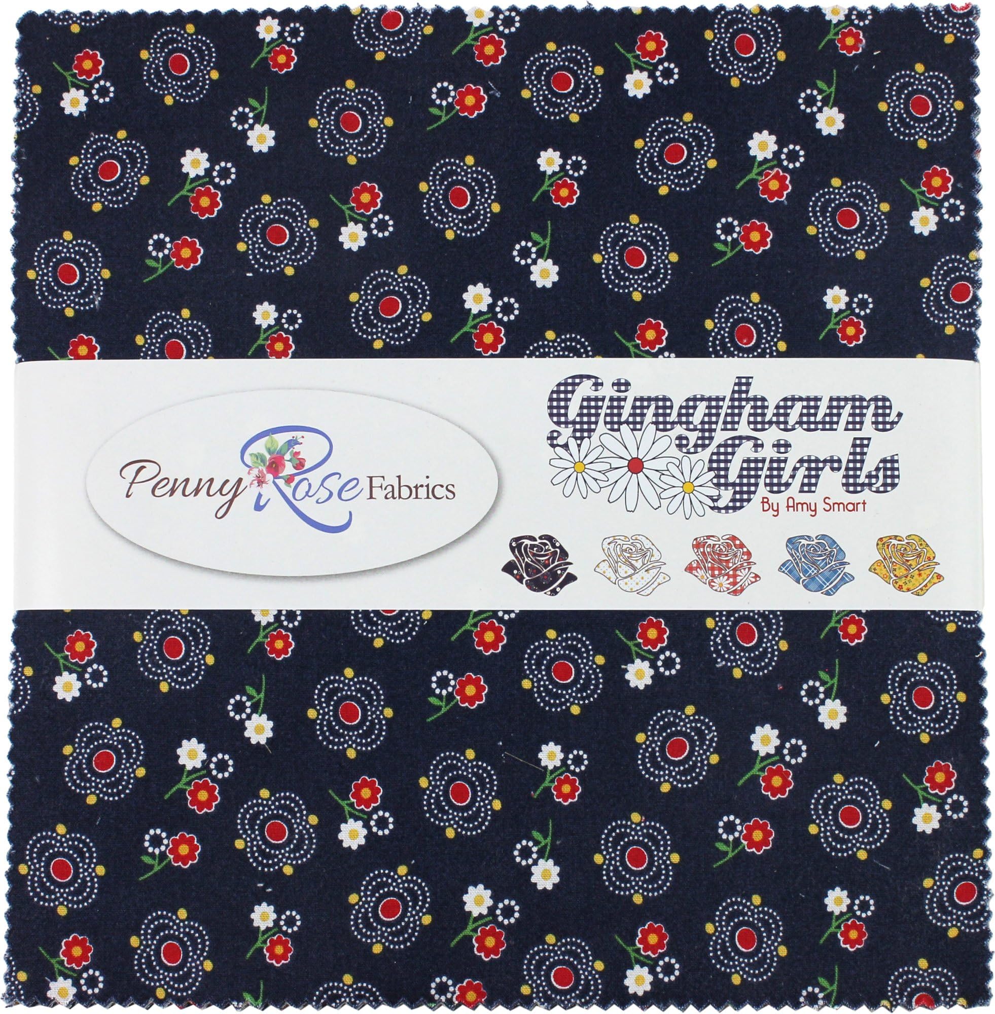 Amy Smart Gingham Girls 10" Stacker 42 10-inch Squares Layer Cake Penny Rose Fabrics
