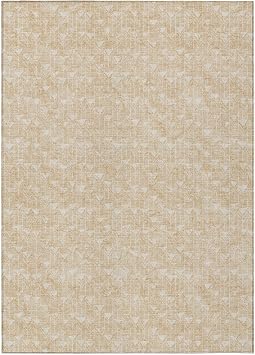 Addison Rugs Chantille ACN514 Beige 10 x 14 Indoor Outdoor Area Rug, Stain Resistant, Machine Washable, Non Shedding, Bedroom, Living Room, Dining Room, Kitchen Rug