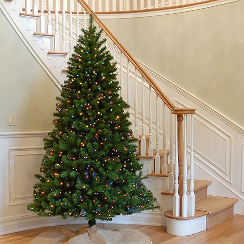 Vista 10 de National Tree Company