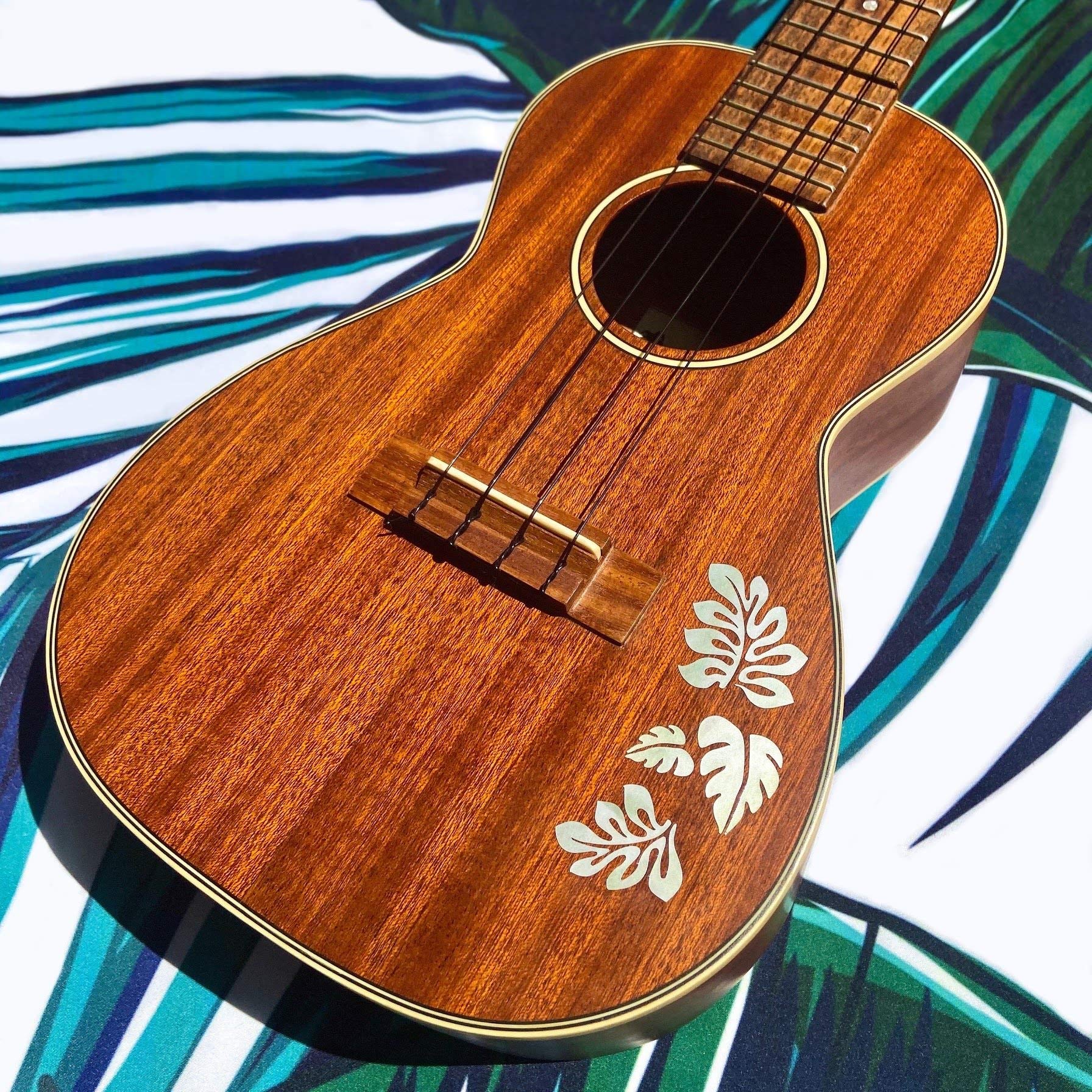 Honu (ホヌ) Amazon.co.jp: Jockomo Honu/ホヌ・ファミリー & ハワイアン Leaf