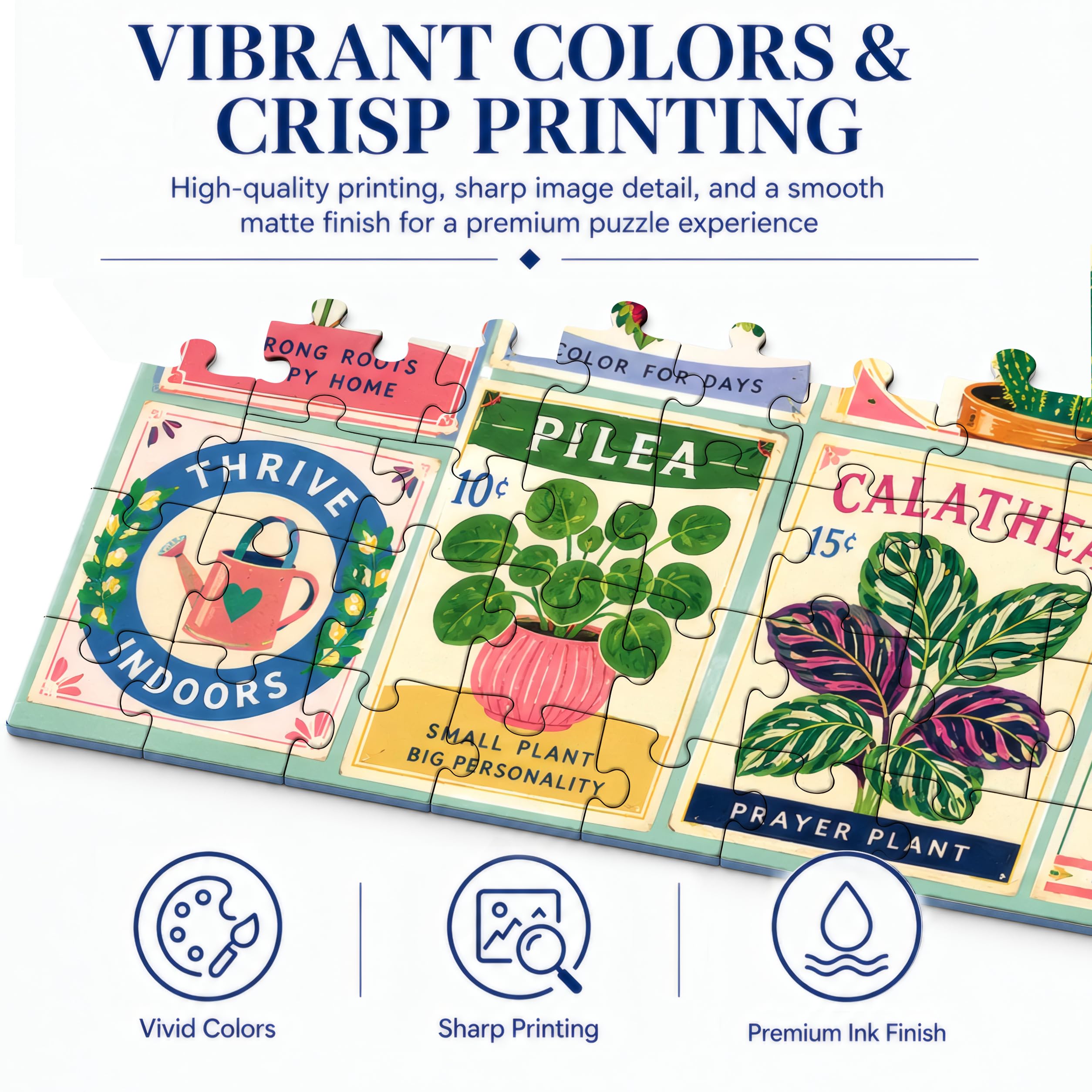 View 5
