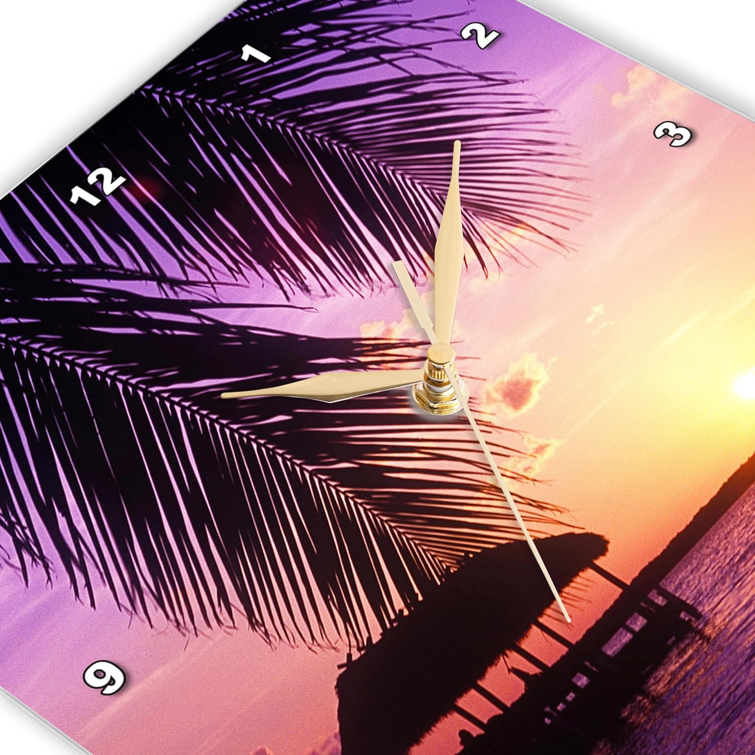 3dRose Wall Clock Silent - 13 inch - John Pennekamp State Park, Key West, Florida - US10 GJO0522 - Greg Johnston - Florida