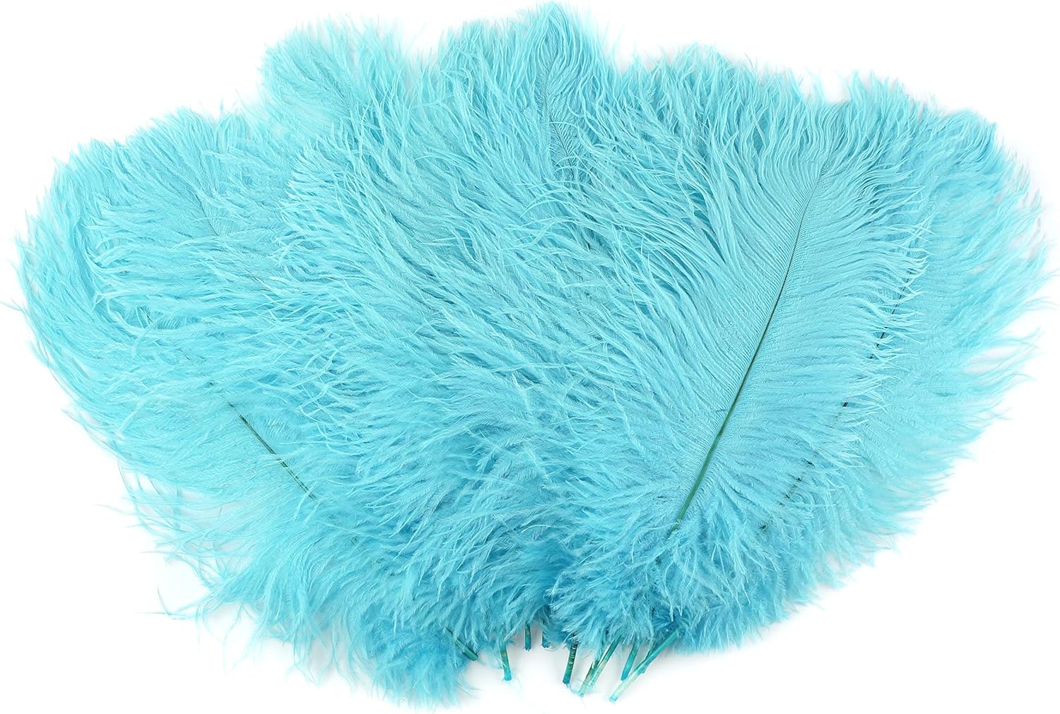 ZUCKER Ostrich Feathers for Centerpieces- Wedding Decorations- Bulk Feathers for Crafts, 1/4 Pound (Approx 60 pcs), 13-16 inch, Light Turquoise