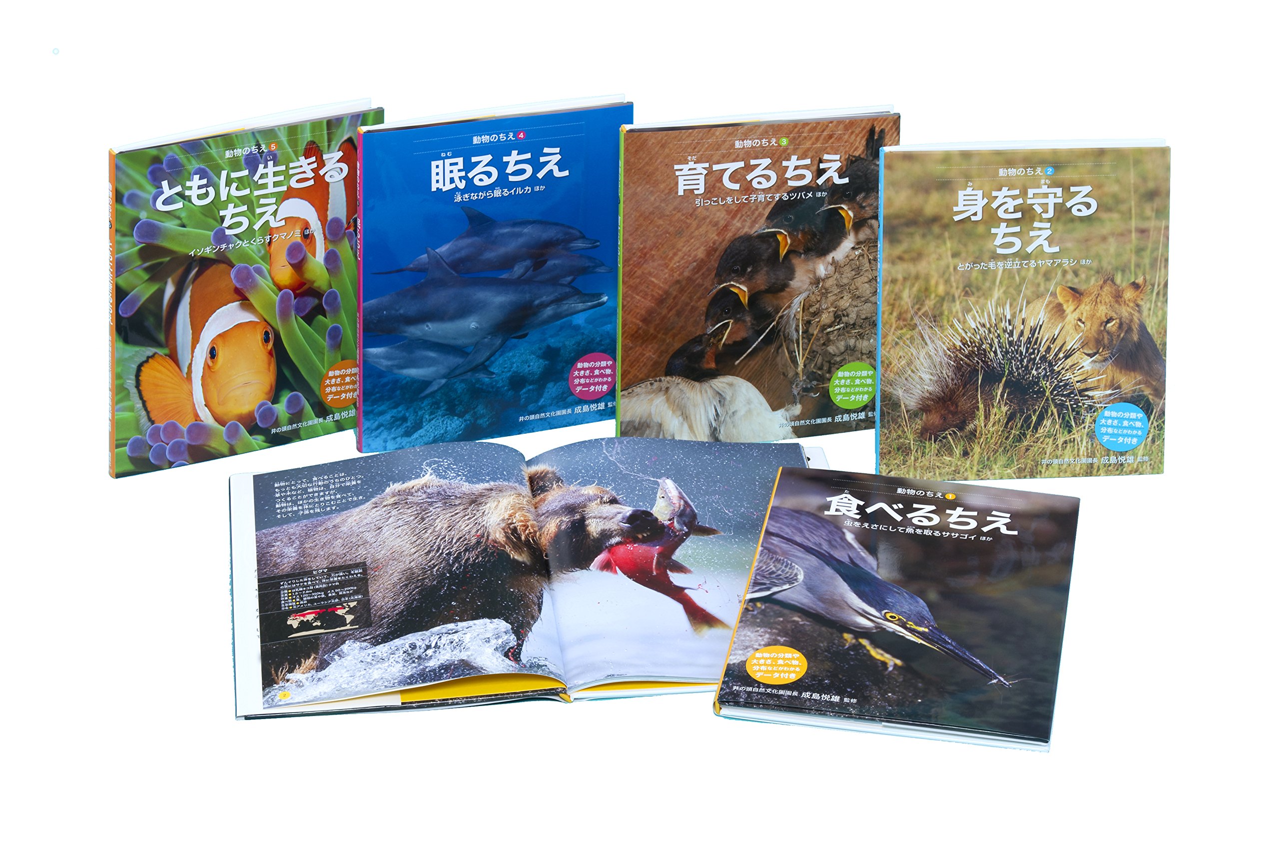 世界のどうぶつ 1-5巻セット Amazon.co.jp: 動物のちえ(全5巻セット) : ネイチャ-・プロ編集室: 本
