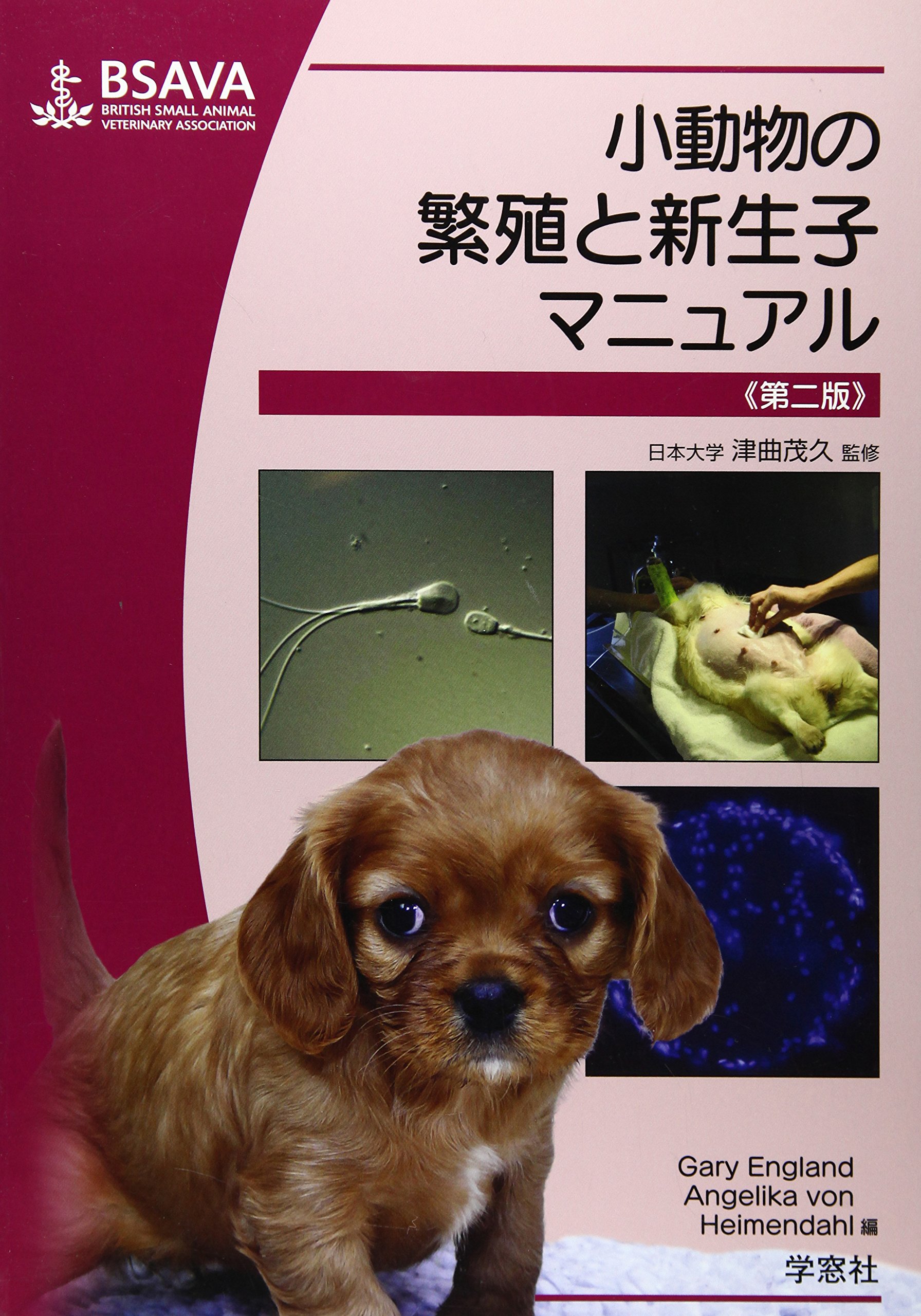 小動物の繁殖と新生子マニュアル 小動物の繁殖と新生子マニュアル | ゲイリ- C.W.イングランド |本