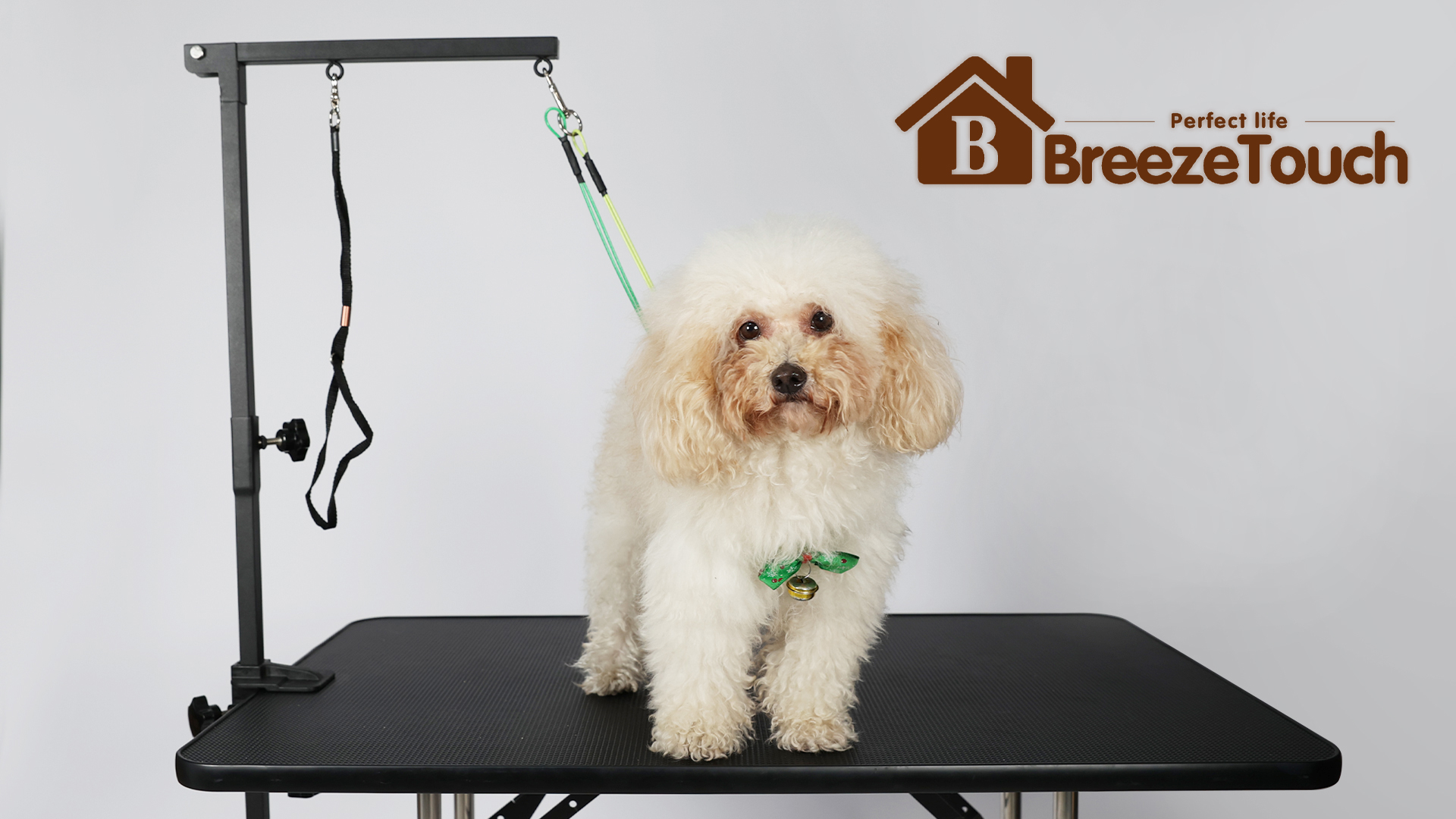 Clamp Grooming Table Accessories Heavy Duty Hammock Dog Grooming