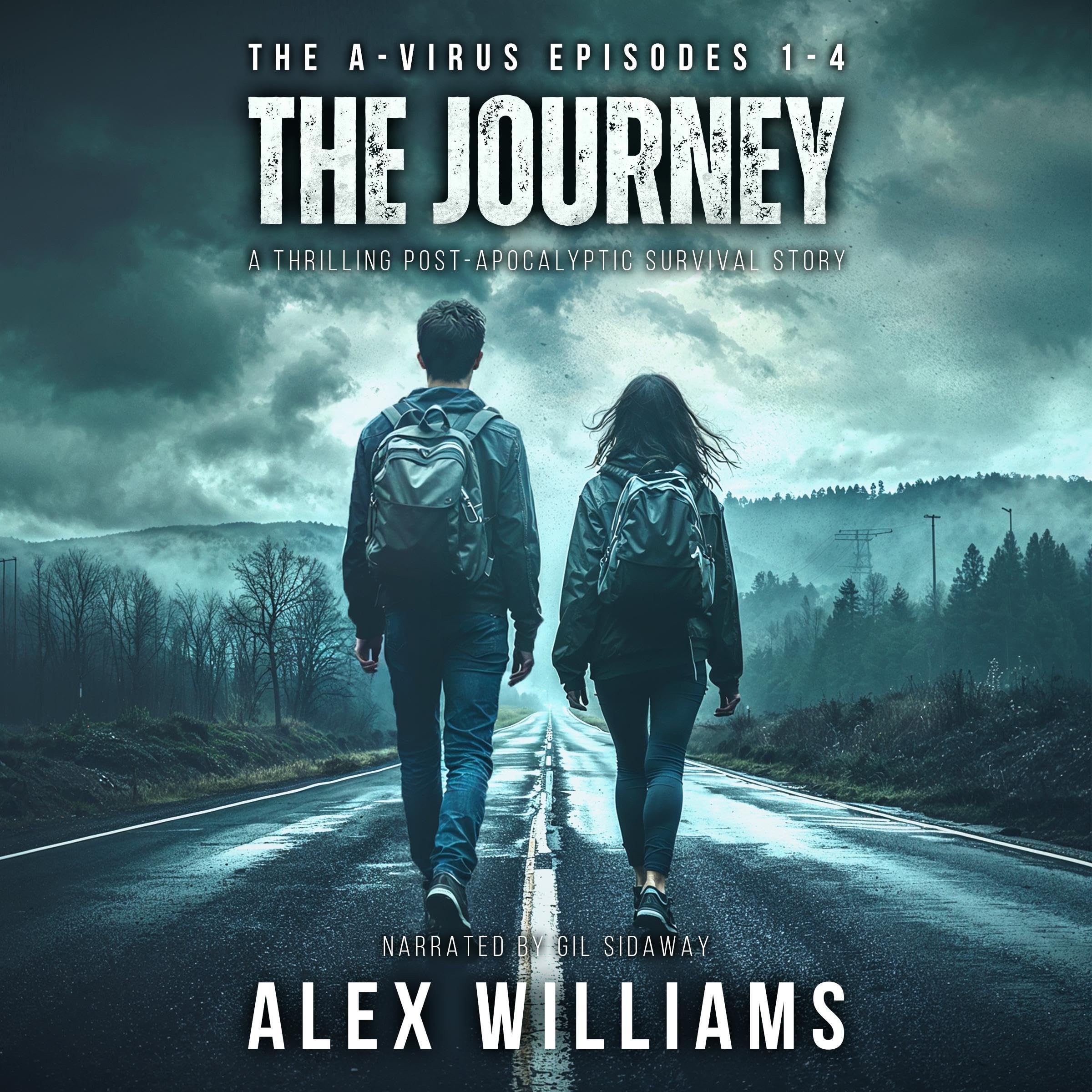 Cover art for The Journey