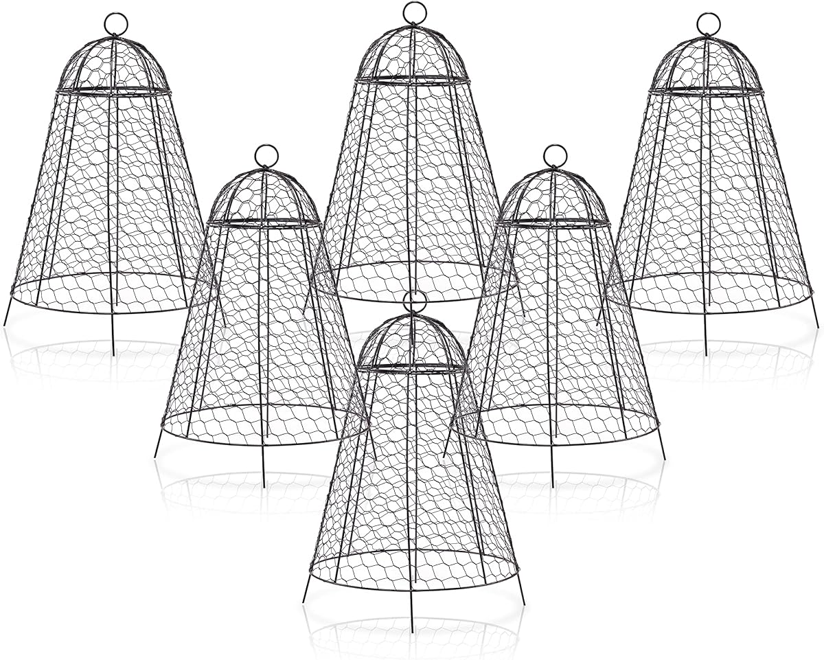 Garden Cloches for Plant Protector
