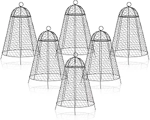 boldworks Garden Cloches for Plants Chicken Wire Cages to Protect from Animals Outdoor Extra Large Rustproof Thicker and Finer Mesh 12" x 20" Pack of 6