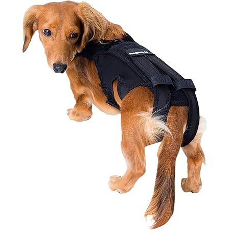 Amazon アニフル Anifull わんコル 黒 S 犬用コルセット アニフル Anifull ハーネス 通販